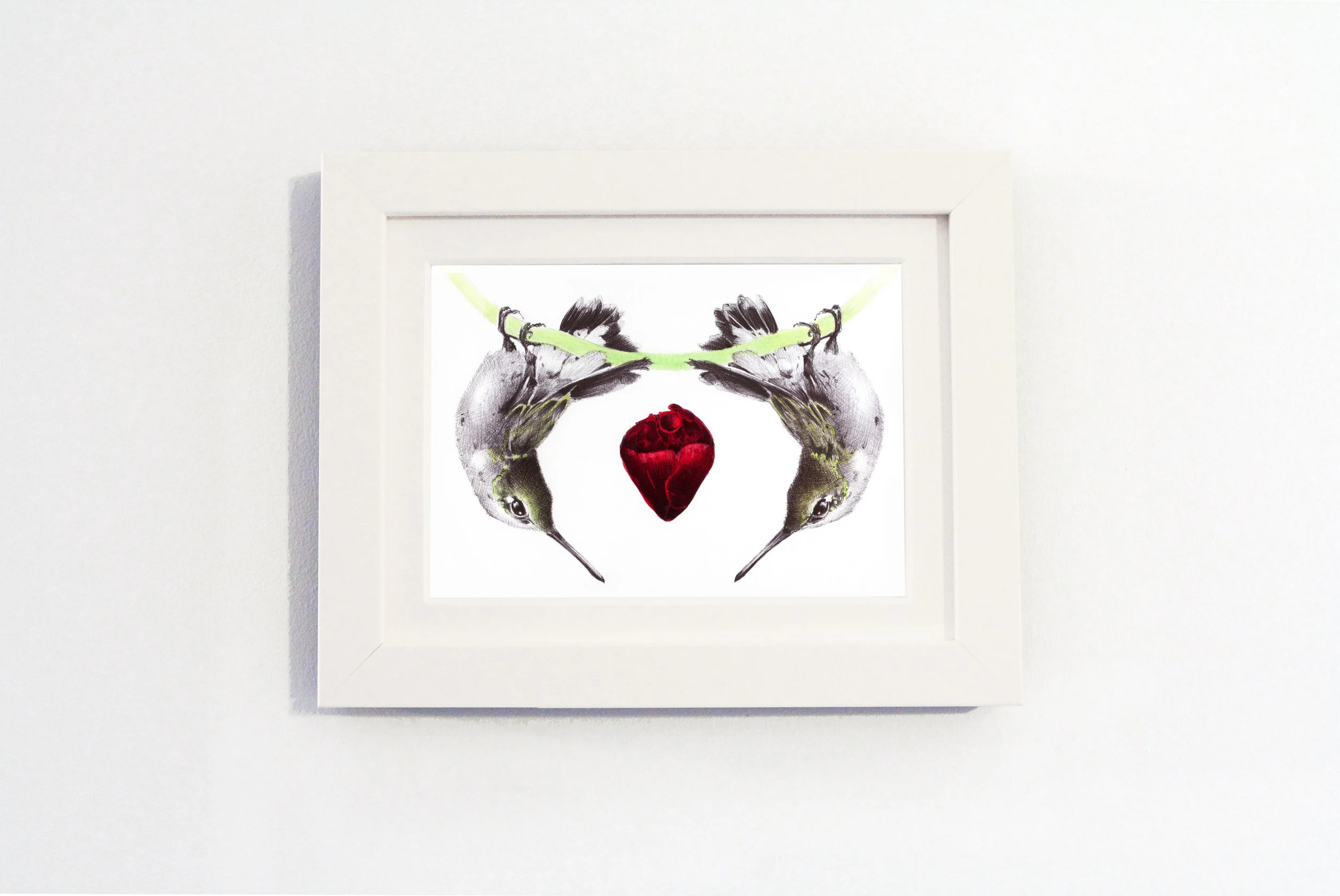 birds White frame.jpg