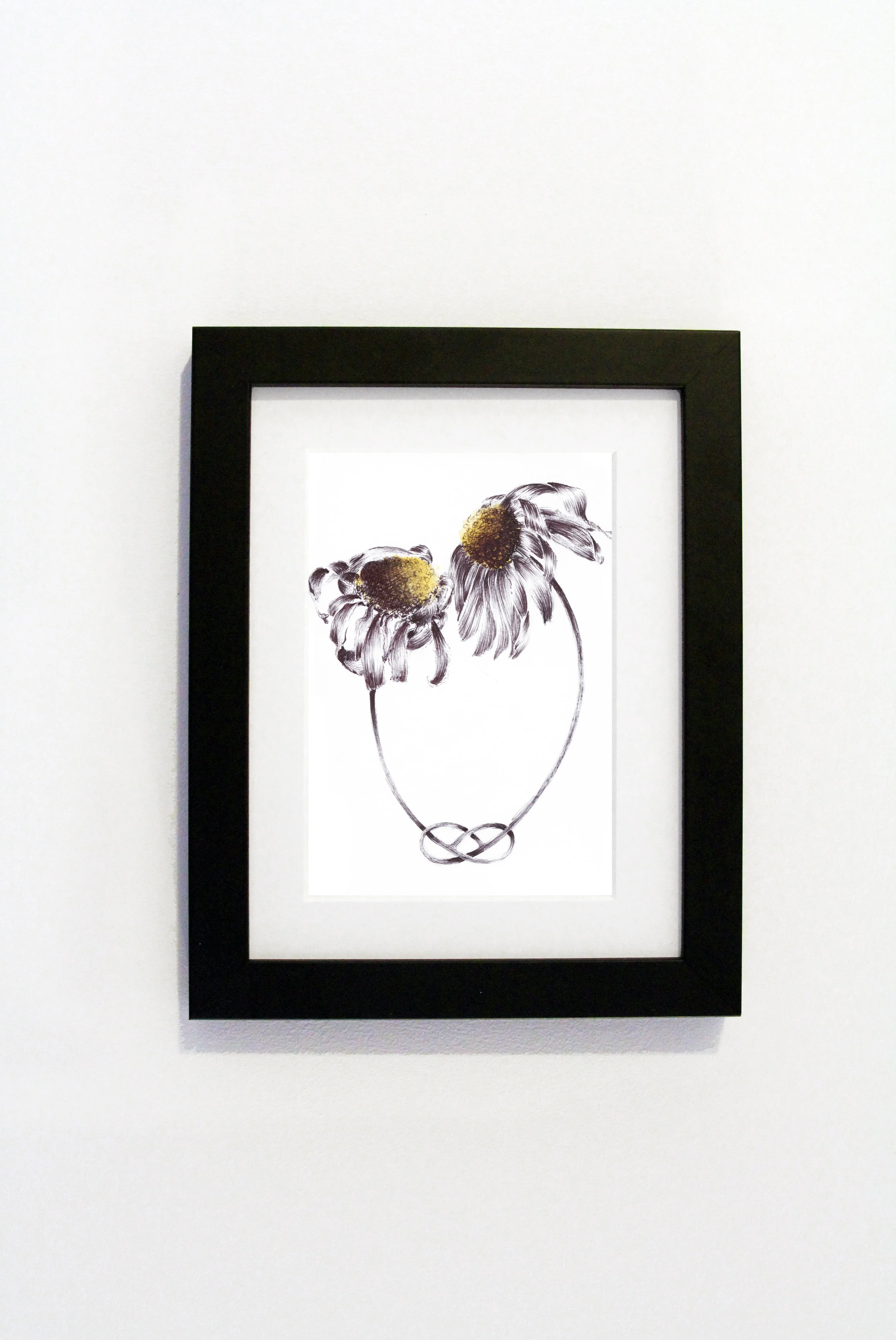 Daisies Black Frame.jpg