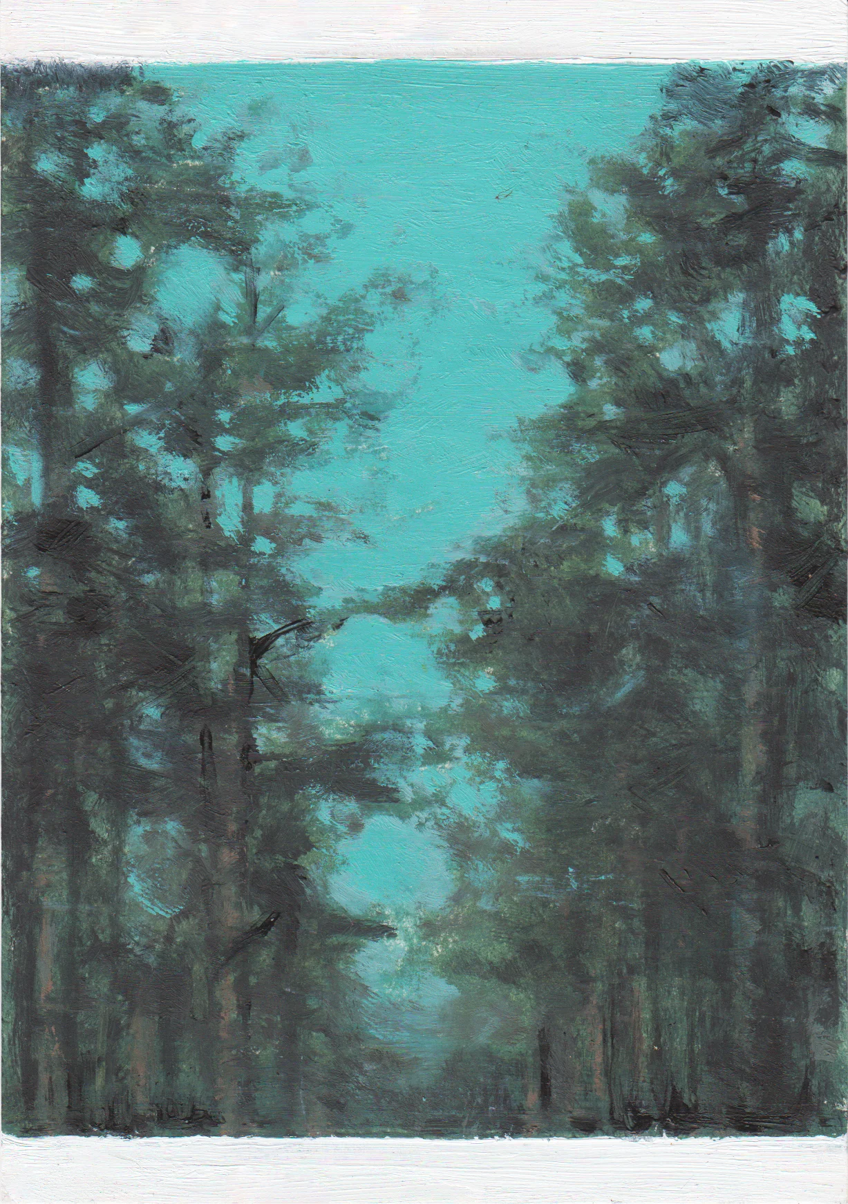 Kate Sherman- Forest, Dusk.jpg