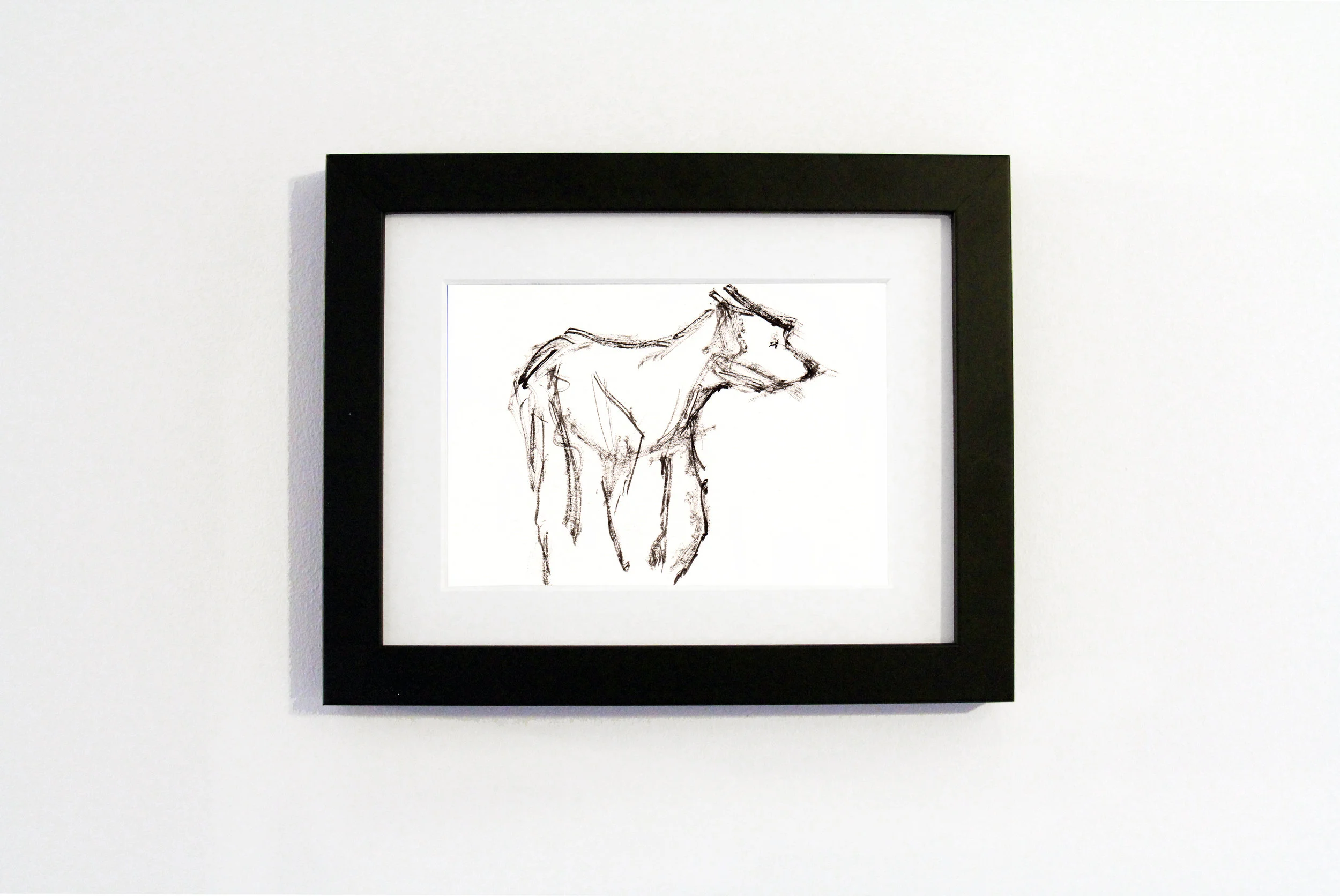 Black Dog Black Frame.jpg