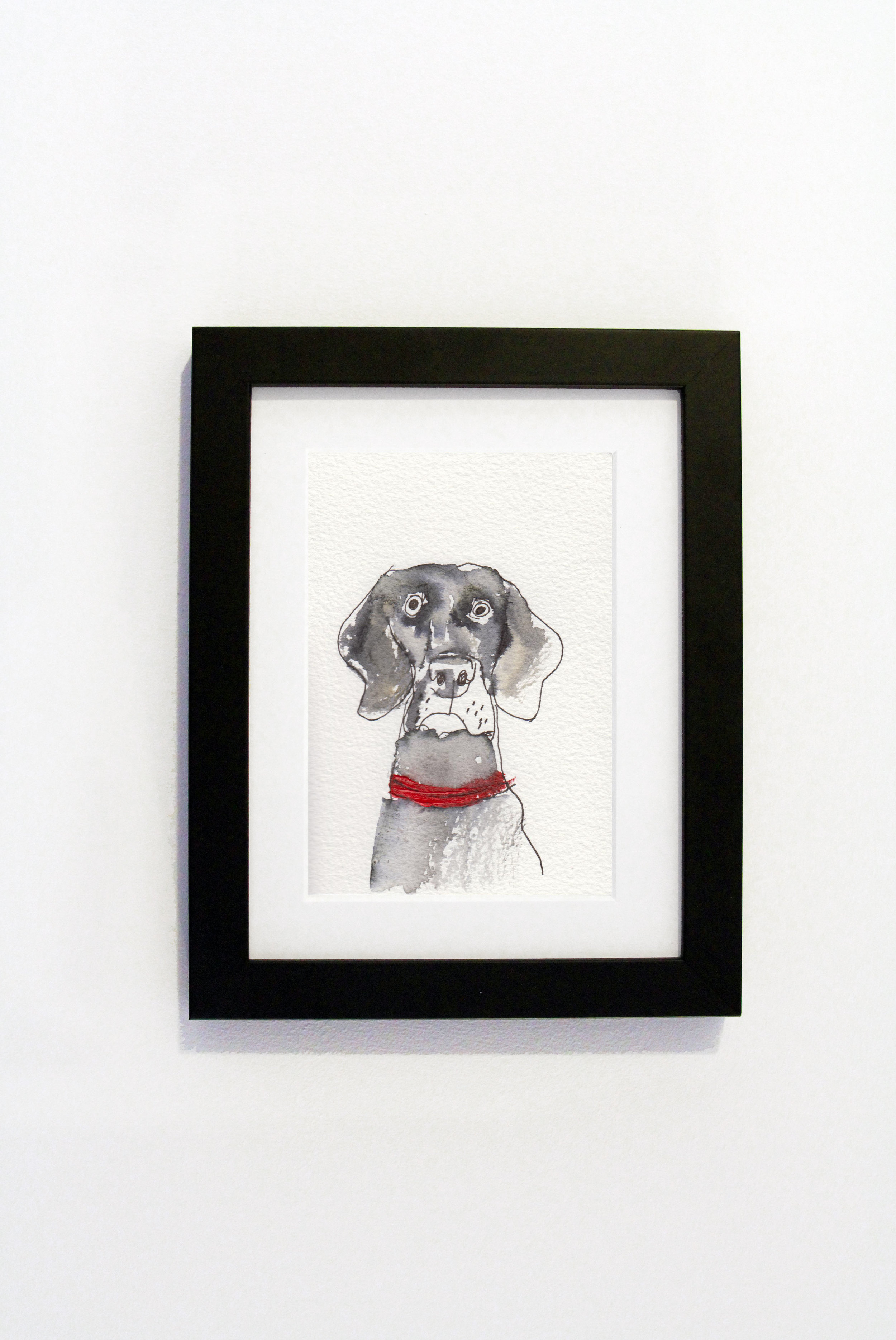 Weimaraner black.jpg