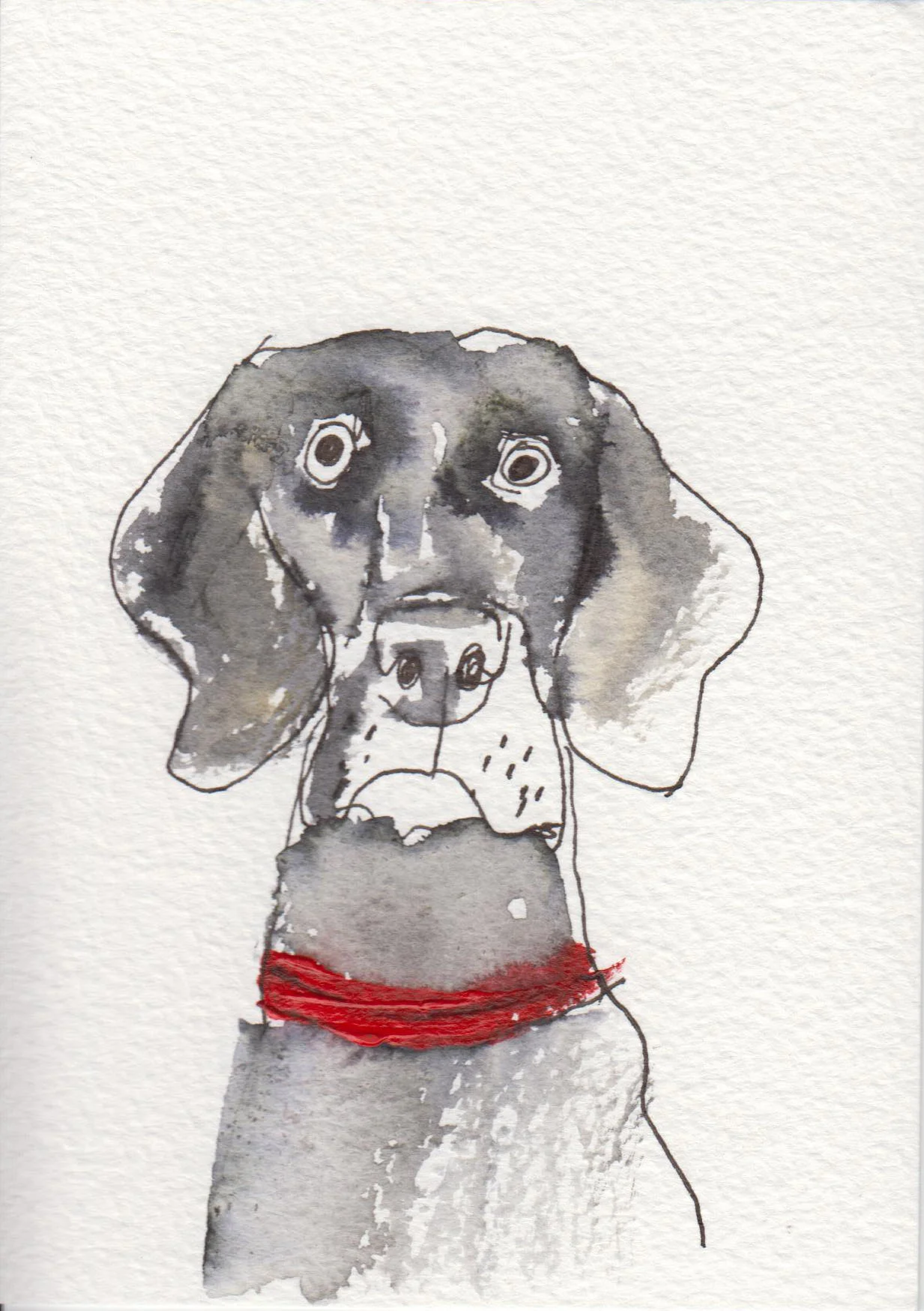 Robert James Clarke - Weimaraner.jpg