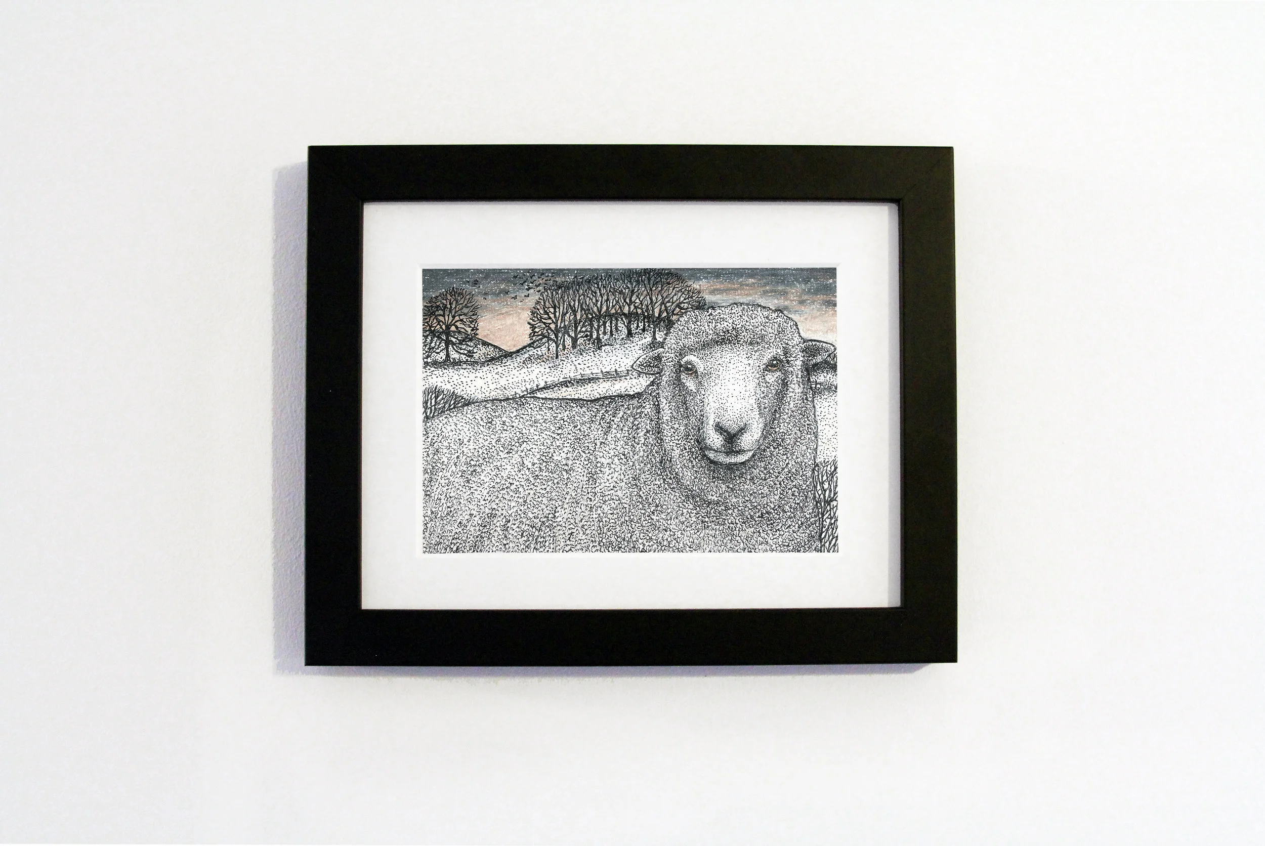 romney ram black frame.jpg