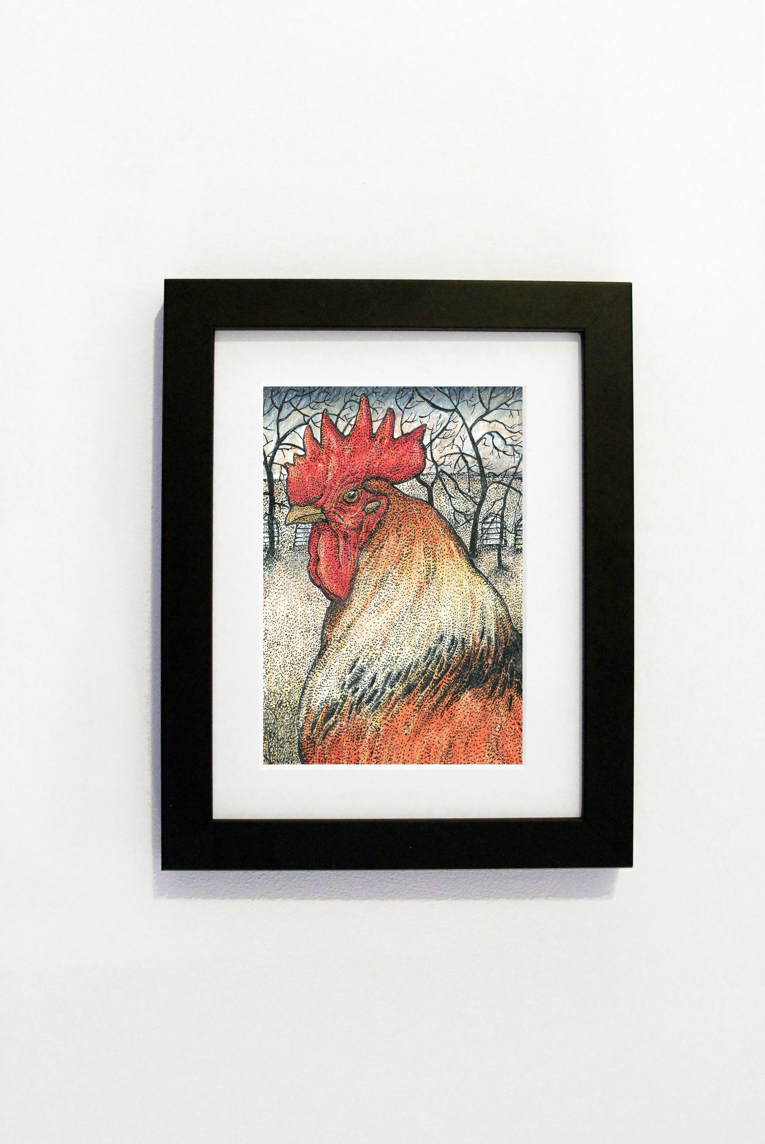 cockerel black frame.jpg