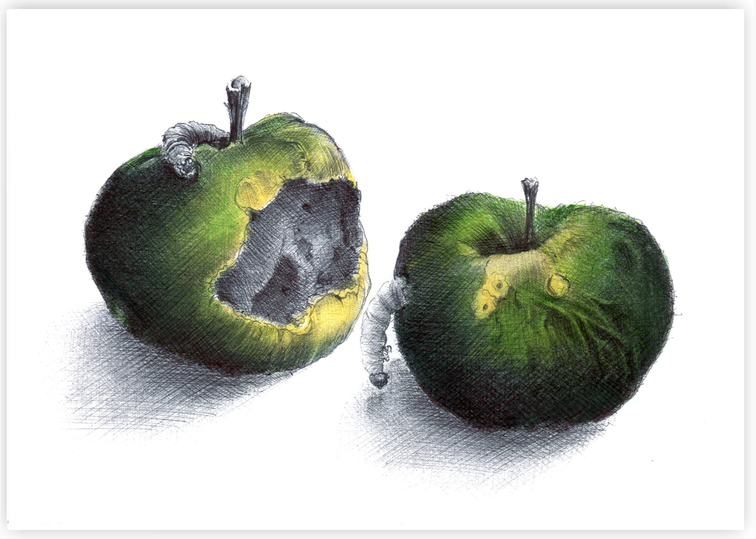 apple.jpg
