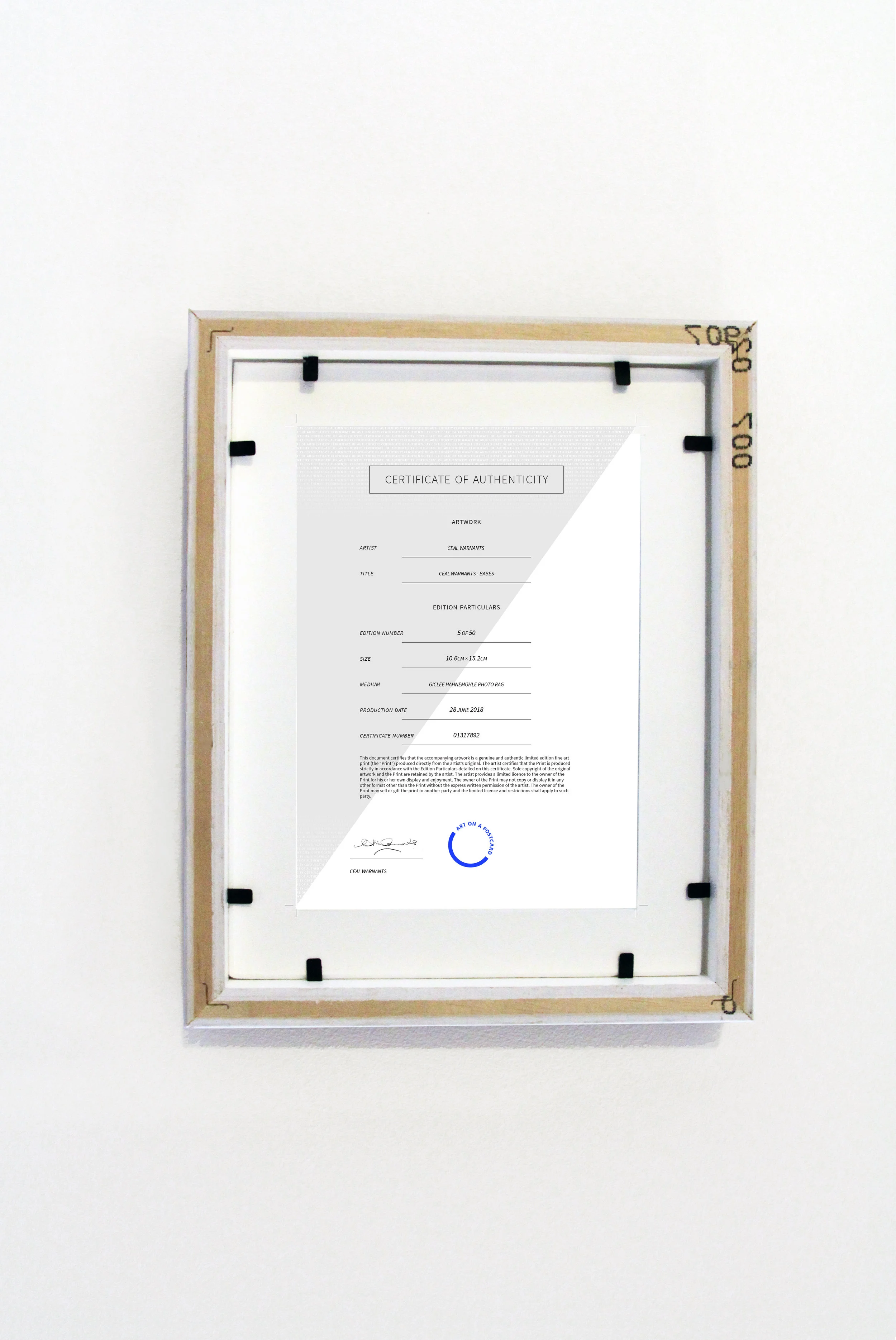 White Frame Portrait BACK.jpg