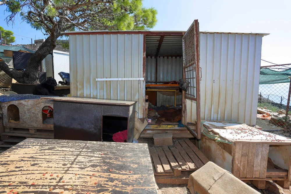 Container that a volunteer lives in at the shelter