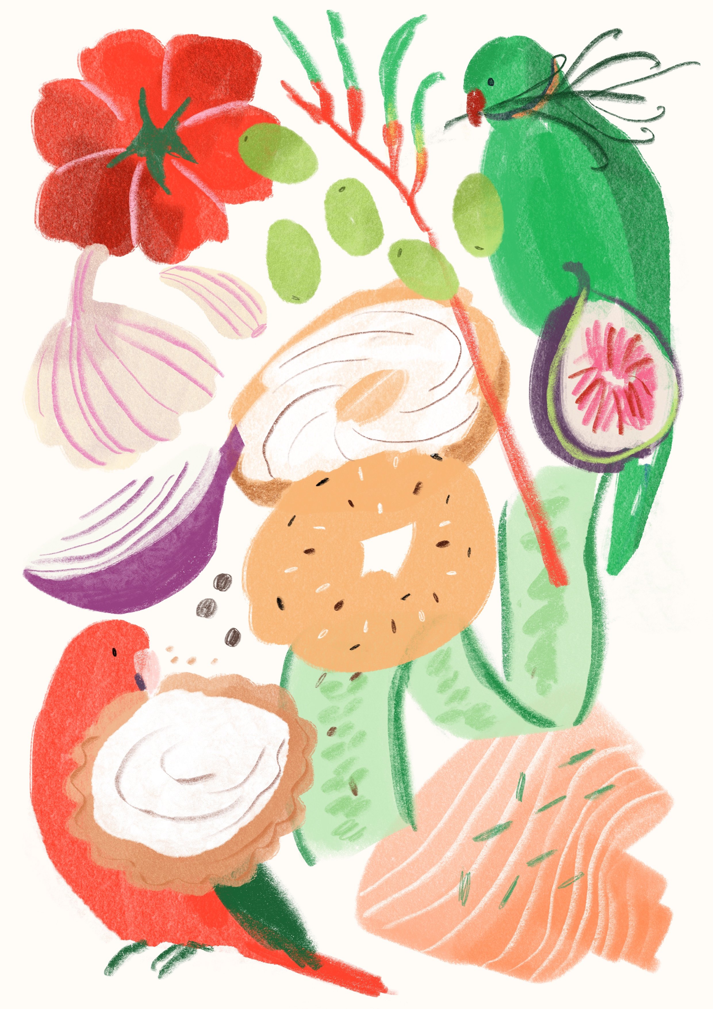 illustratoin-Claudiafrittitta.jpg