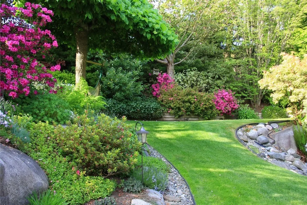 native-trees-and-shrubs-300x200.jpg