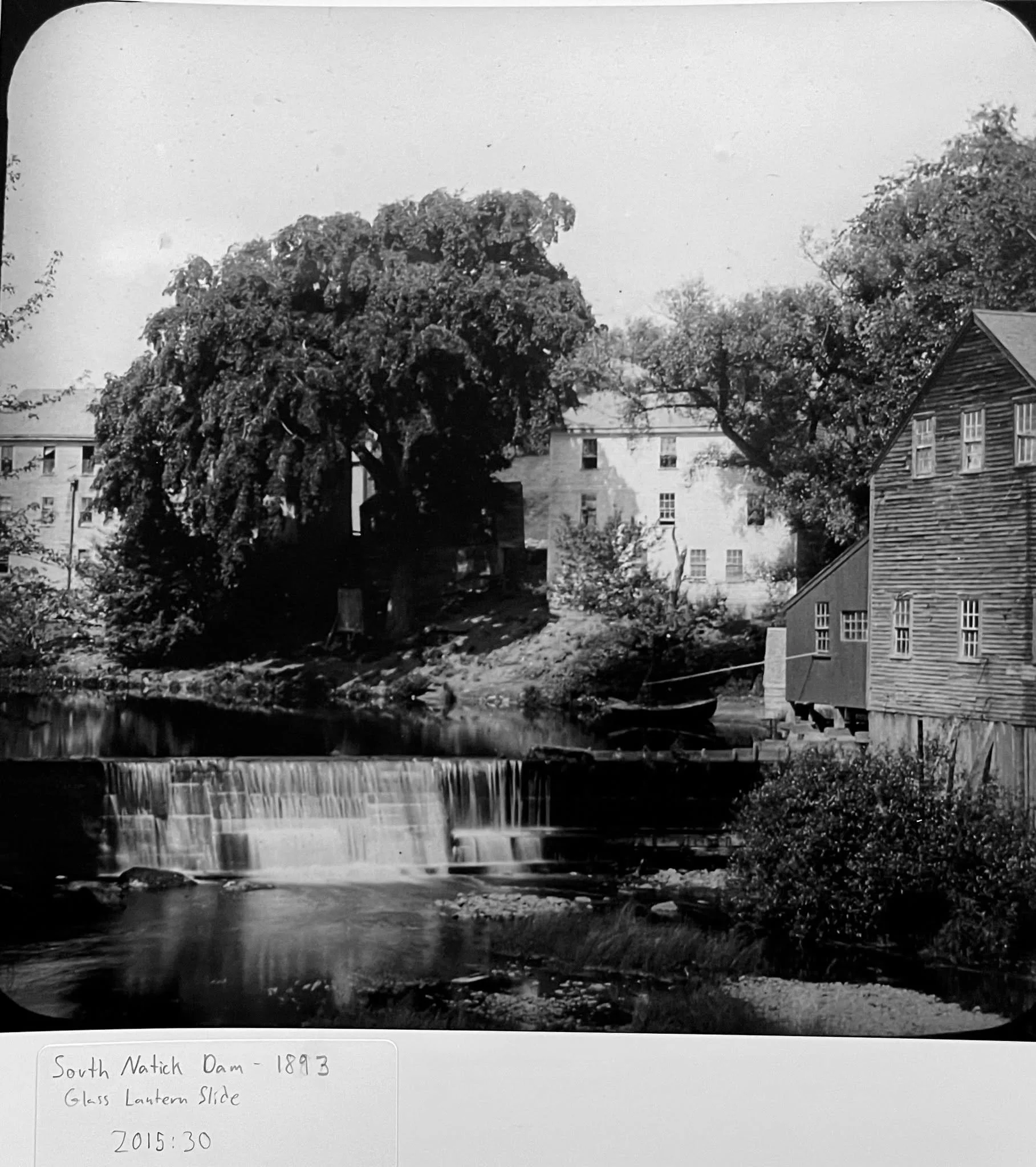 📸 A glimpse of South Natick in 1893. 📸
This beautiful glass lantern slide photograph captures the South Natick Dam and mill buildings more than 130 years ago. 
To explore an extensive history of the South Natick Dam, visit our webpage: https://www.