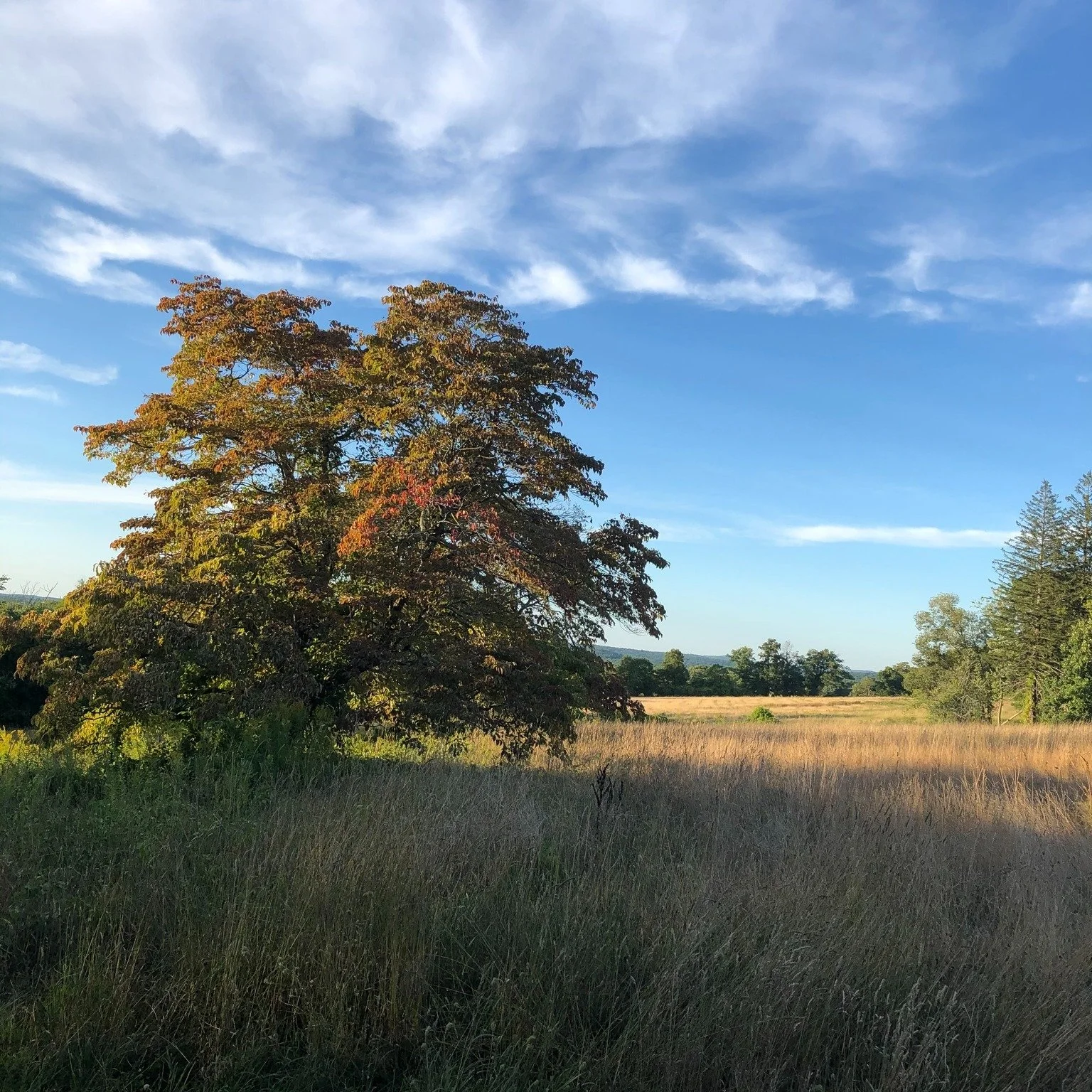 In the fall of 1675, 350 years ago, English colonists in Massachusetts Bay, Plymouth, and Connecticut colonies, canceled all planned days of thanksgiving. Instead, they observed days of fasting and humiliation to atone for the sins that had brought w