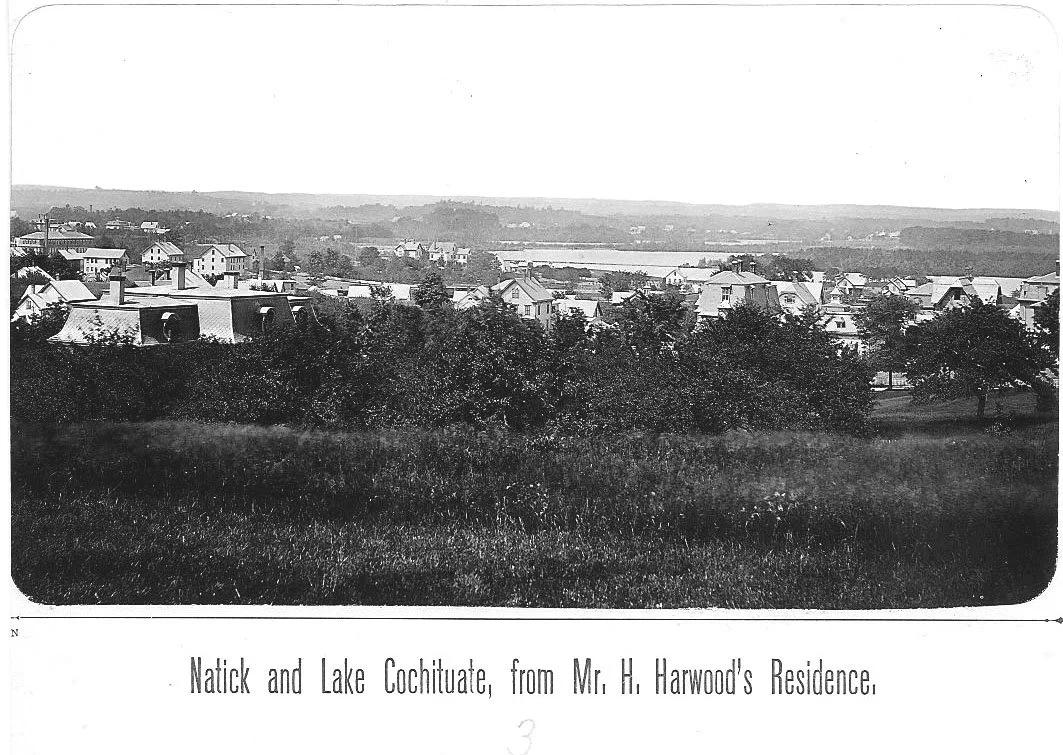 A view toward Lake Cochituate from Mr. H. Harwood&rsquo;s residence, likely ca. 1900.

This historic photograph shows Natick and Lake Cochituate from a hillside near Mr. H. Harwood&rsquo;s home, offering a sweeping view of rooftops, trees, and the la
