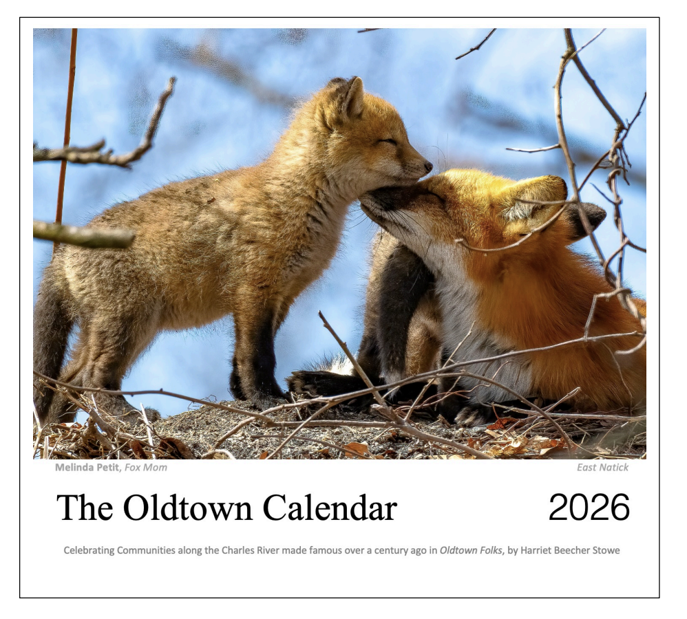 Oldtown Calendar 2026