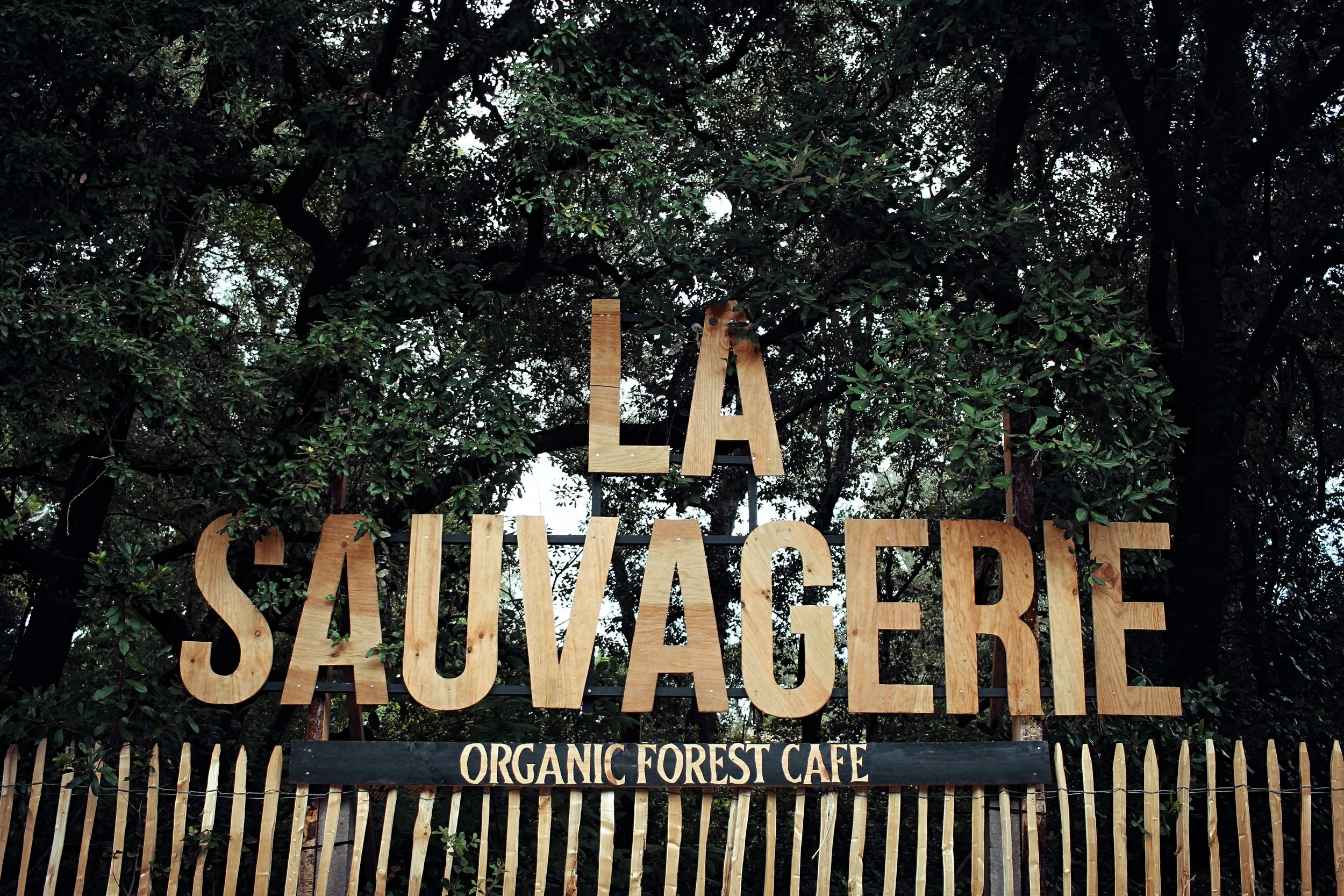 SAUVAGERIE1.jpg