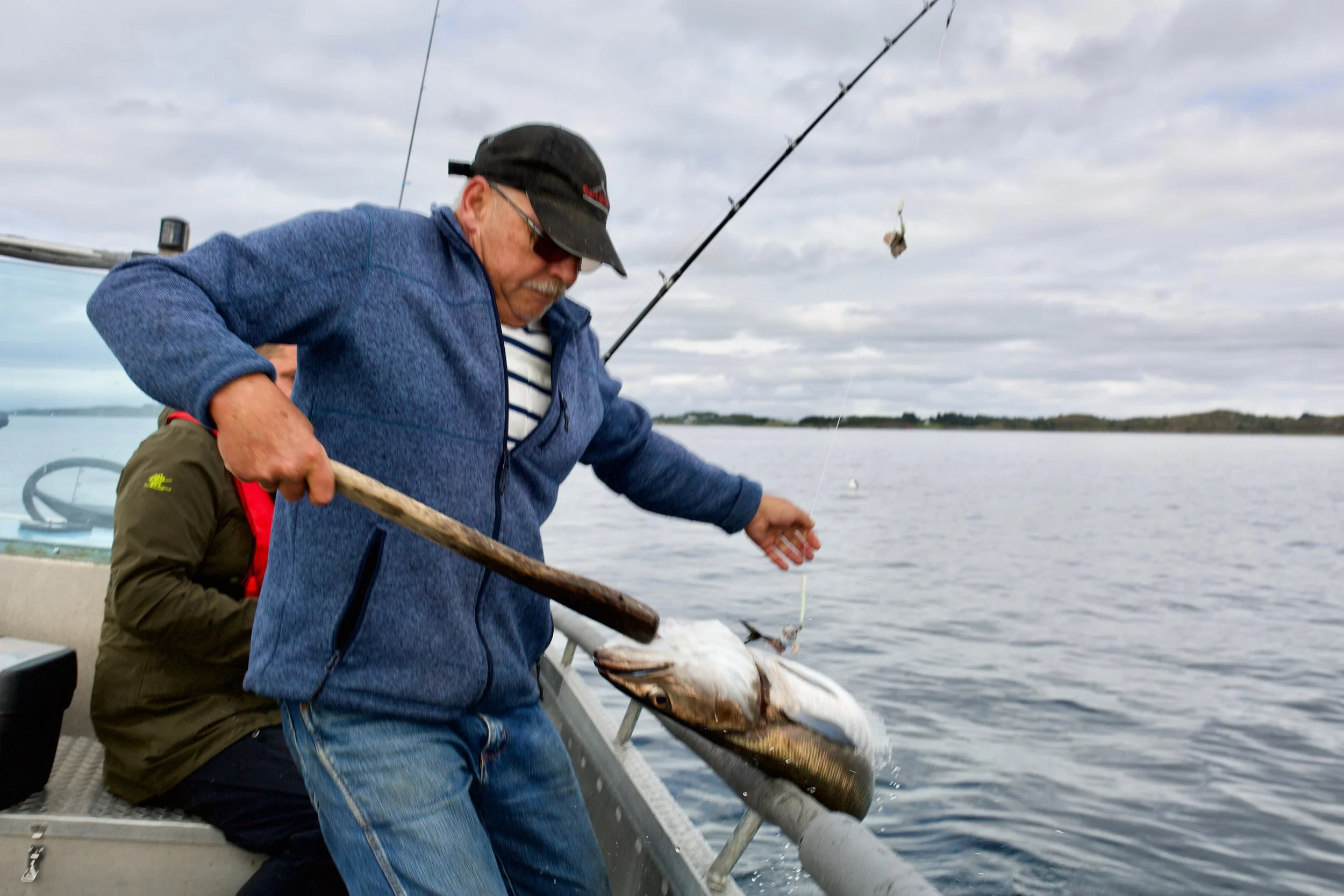 Slik fisker du lysing: Vi fisket med havfiskestang og fireline på snella (som tåler 50 kg), festet til et søkke på rundt 400 gram med krok og 3-4 mark med krok på lina. På store dybder er det en fordel med fireline fremfor nylonline, så man kjenner et bitt bedre. Men aller viktigst er agnet. Vi brukte makrell som vi hadde skjært i små biter. Fordelen med makrell er at skinnet er fast og sitter godt på kroken, men andre fiskeslag fungerer like fint. Det er fullt mulig å få lysing på krok uten agn, men sammenlignet med den magre fangsten til tyskeren som fisket i nærheten, tør vi anbefale litt agn på kroken.