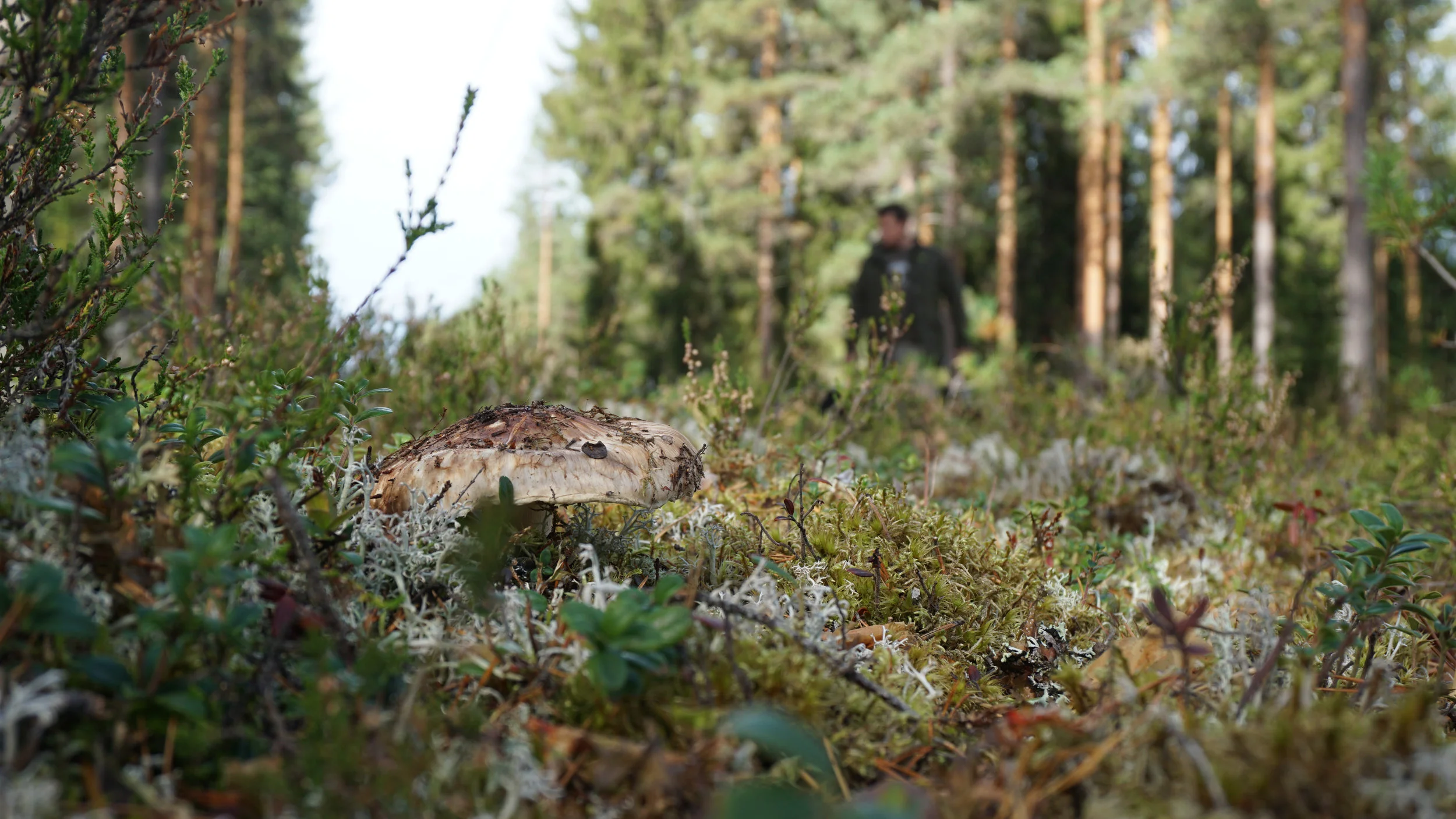 180914_Spisopp-04229.jpg