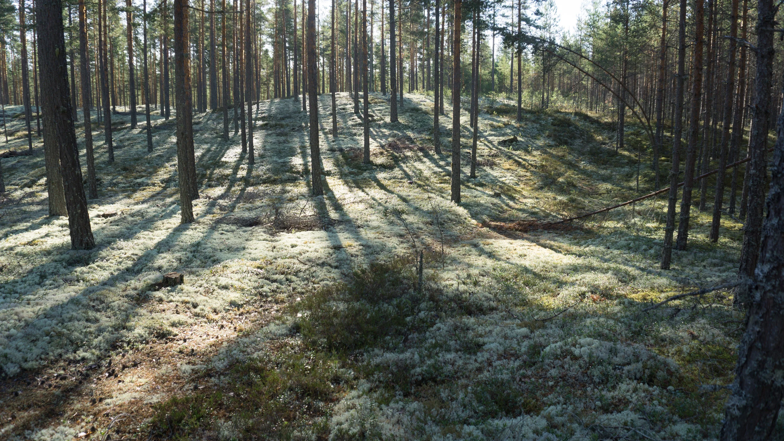 180914_Spisopp-04215.jpg