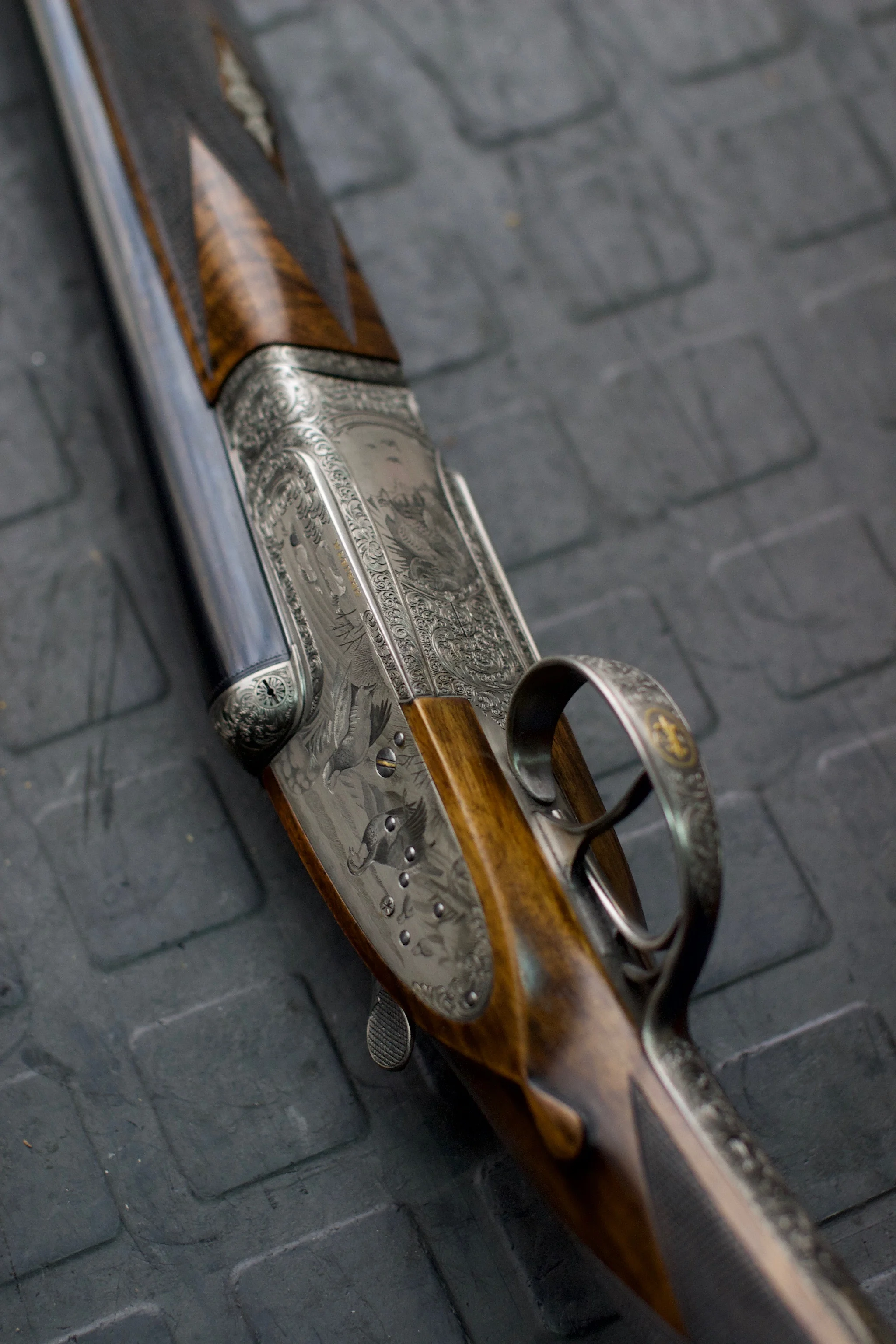 CRW_8894.jpg