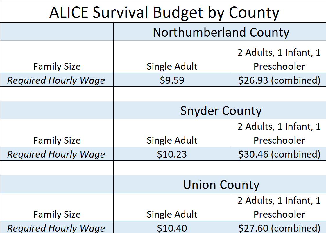 alice survival budget by county.png