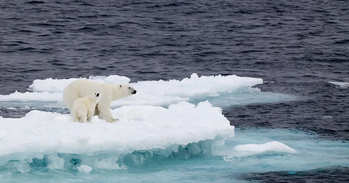   Good Climate Change Policy Is Good Economic Policy
