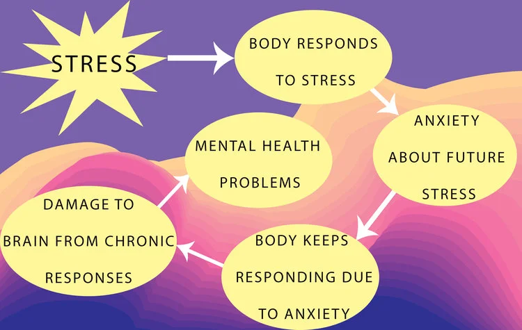 Here's an example of one way we think childhood stress increases risk for mental health problems. Part of what makes stress so toxic is that if we have anxiety about future stress, we can keep responding to threats even if they're not there, which damages our brains and our bodies.