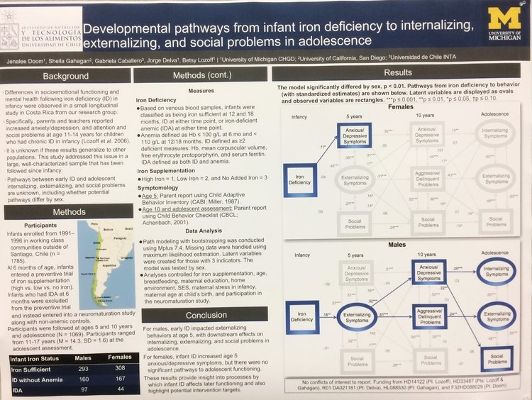 Here's an example of a scientific poster that scientists present at a conference. This is my poster talking about our research in Chile trying to understand how iron deficiency in the first 18 months of life affect our emotions and behavior into the teenage years!