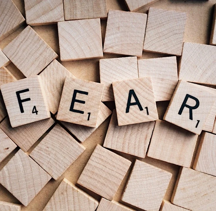 How does the anti-vax movement use psychology to endanger public health? Highlighting fear and misinformation behind the Minnesota measles outbreakc