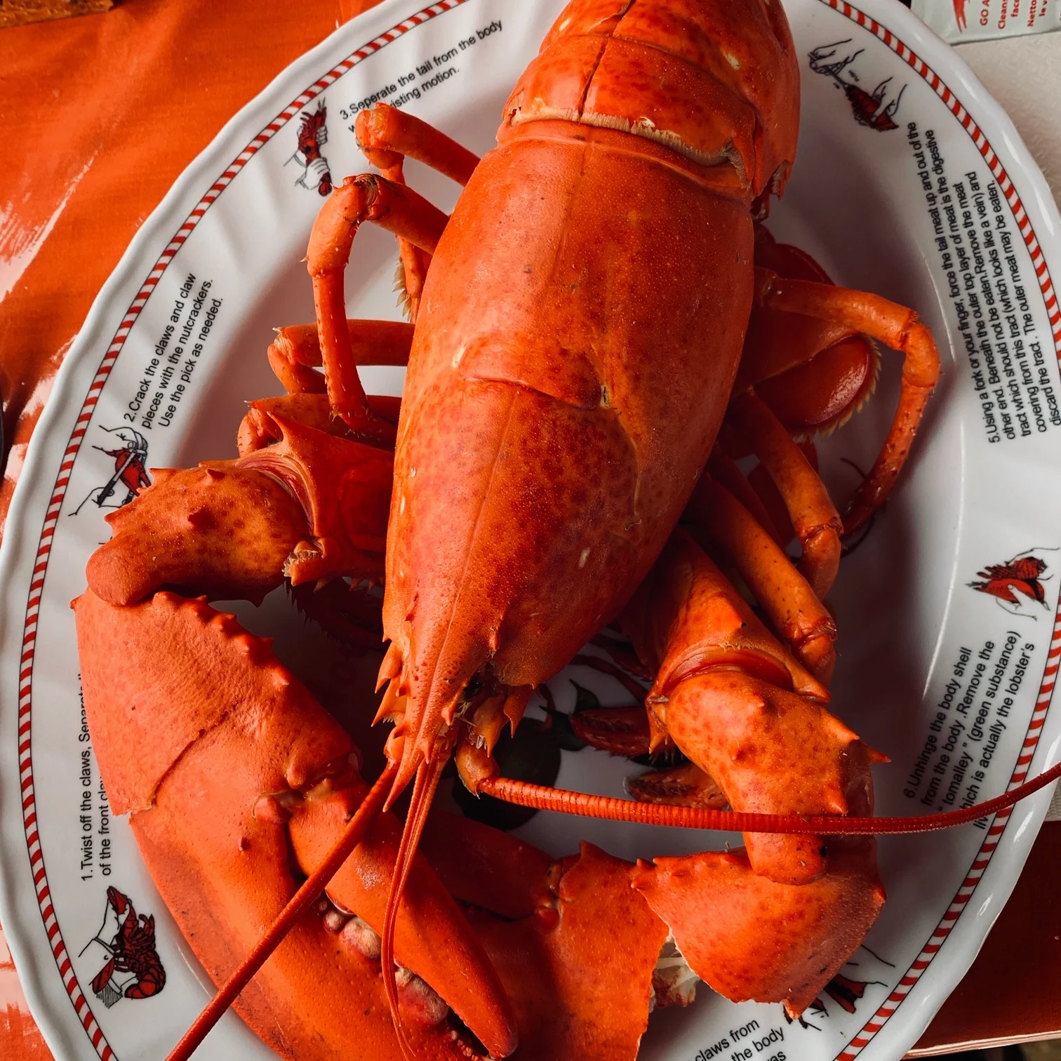 Halifax, Cabot Trail &amp; Neufundland