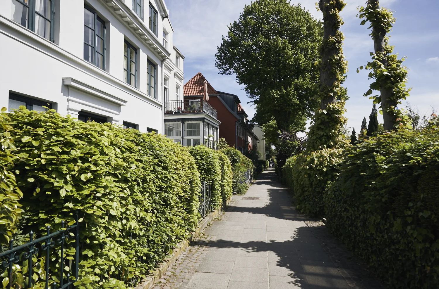 hmbrg_0094.jpg