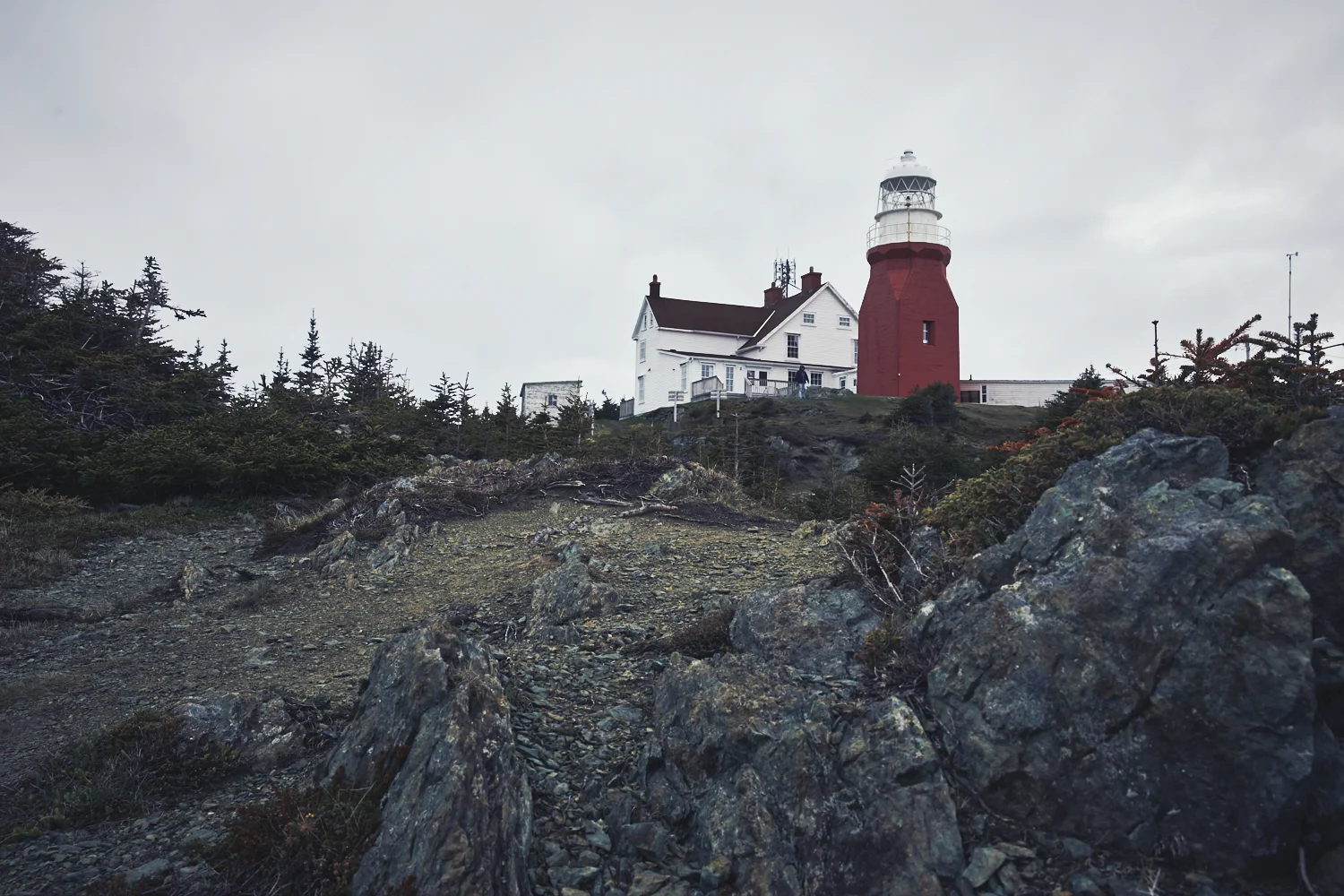 hfx_nfl_0077.jpg