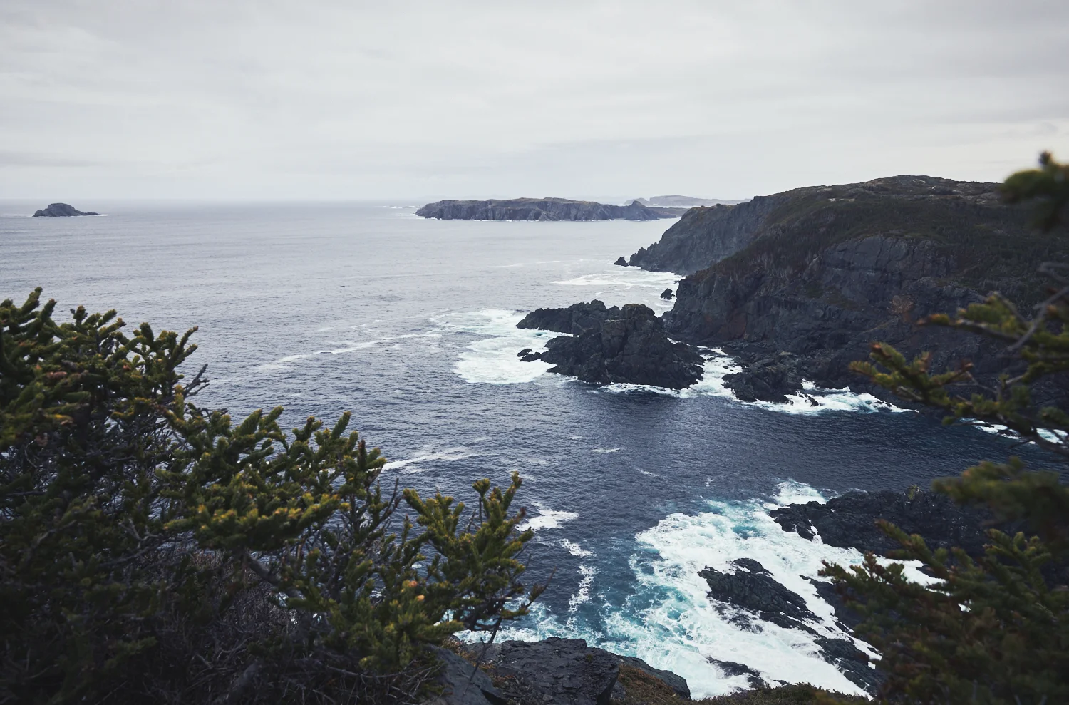 hfx_nfl_0080.jpg