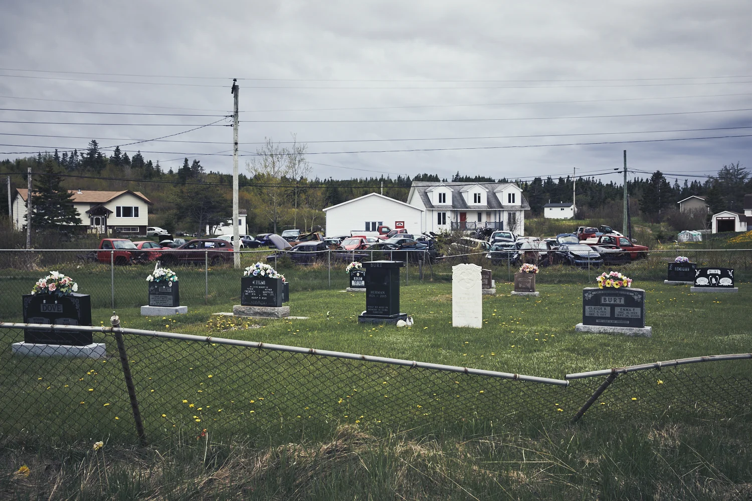 hfx_nfl_0085.jpg