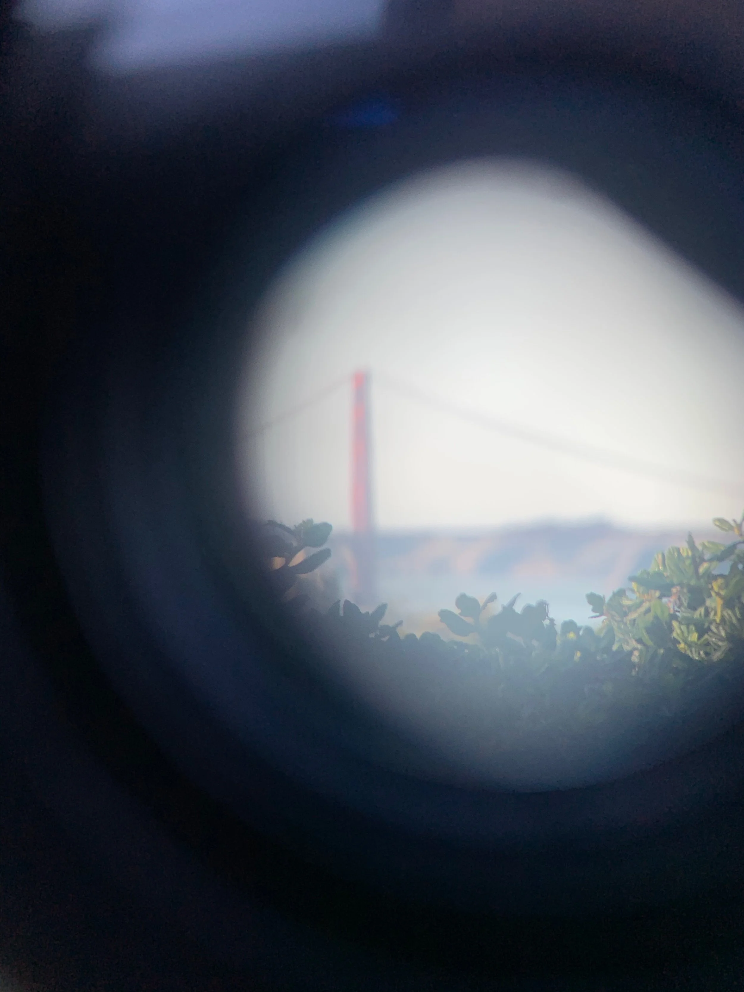 Von Las Vegas über die Wüste nach San Francisco und dann ganz viel Westküste