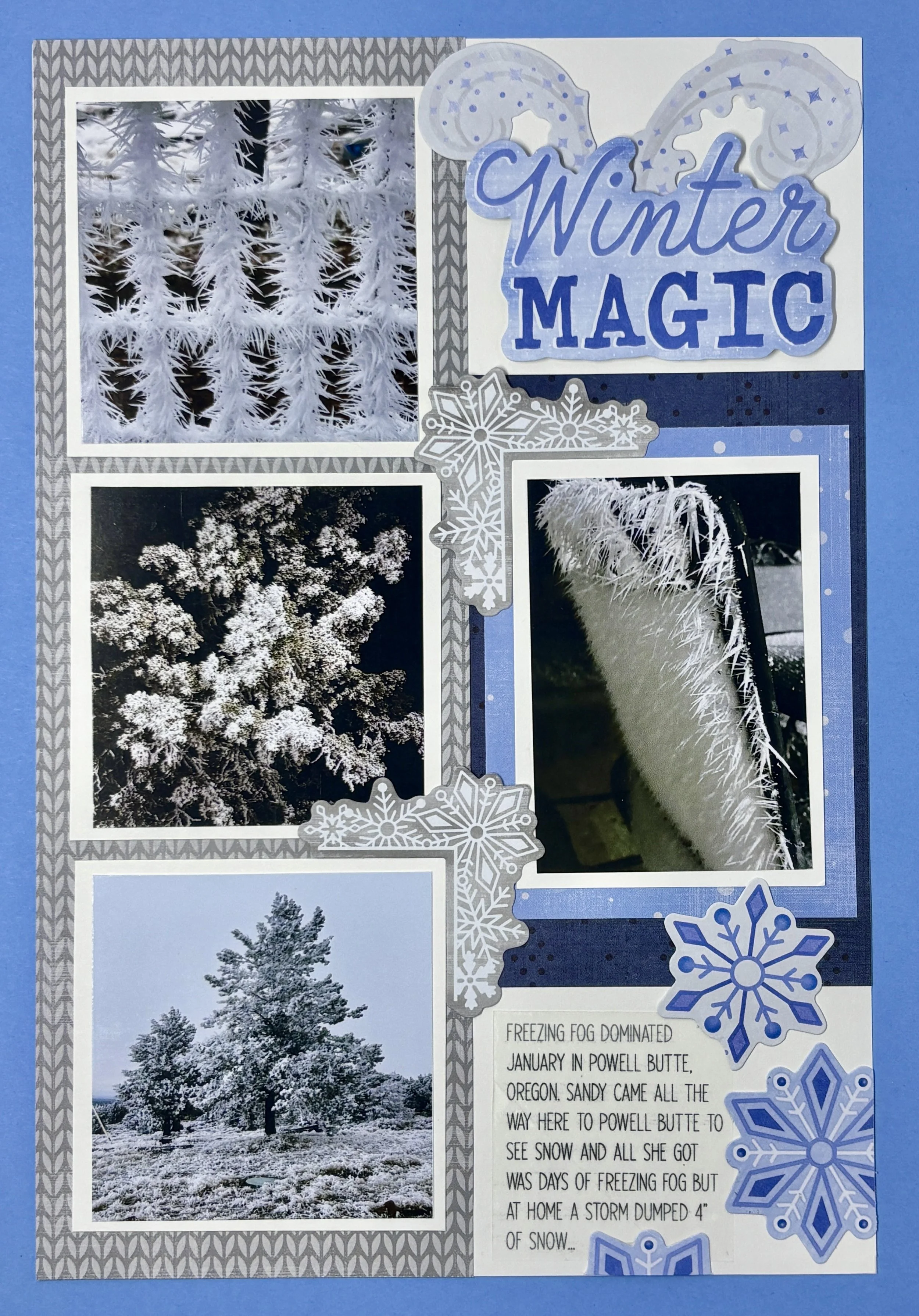 Winter Magic and Freezing Fog