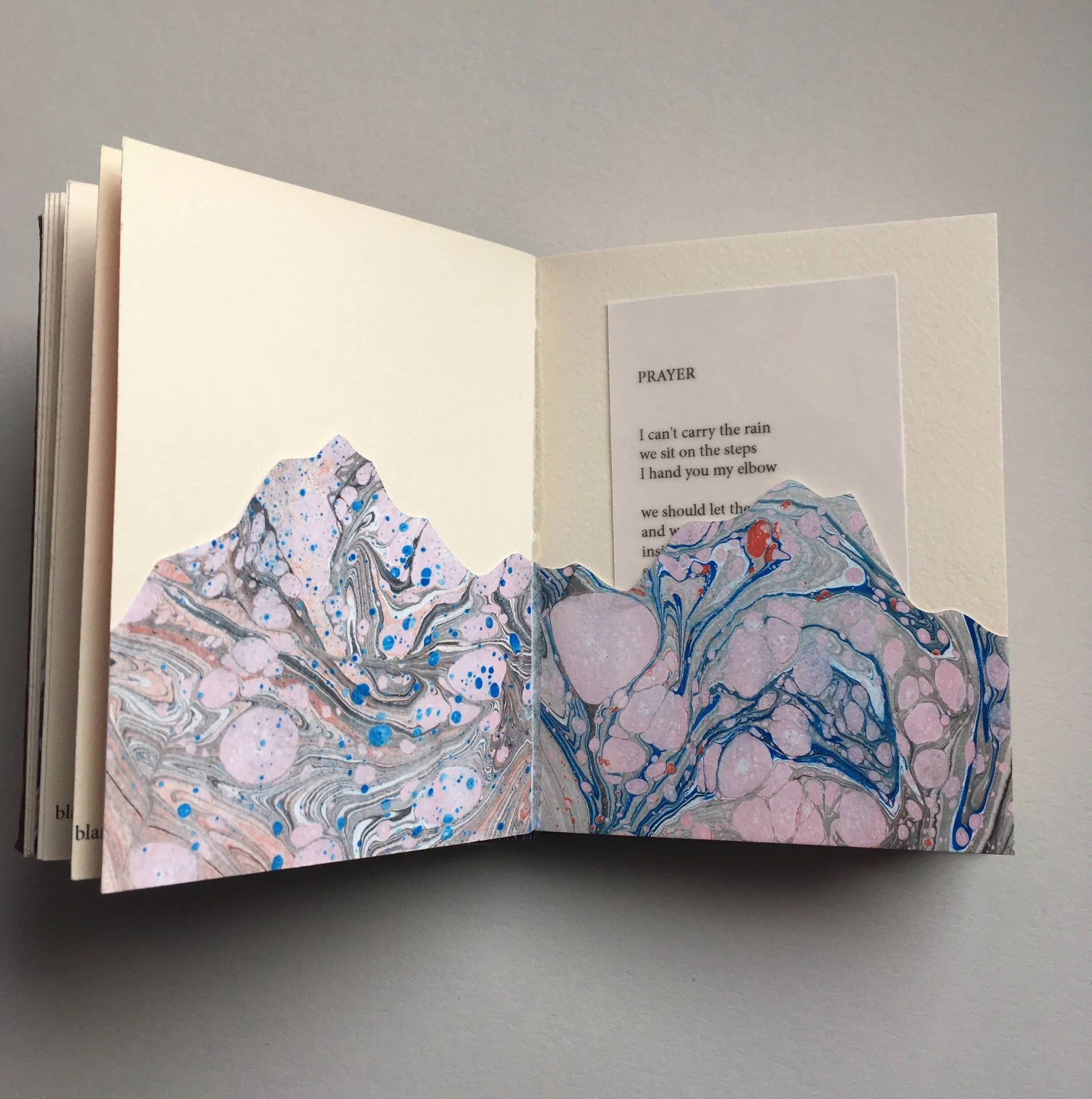  from Canyons, a limited edition chapbook published by BatCat Press 