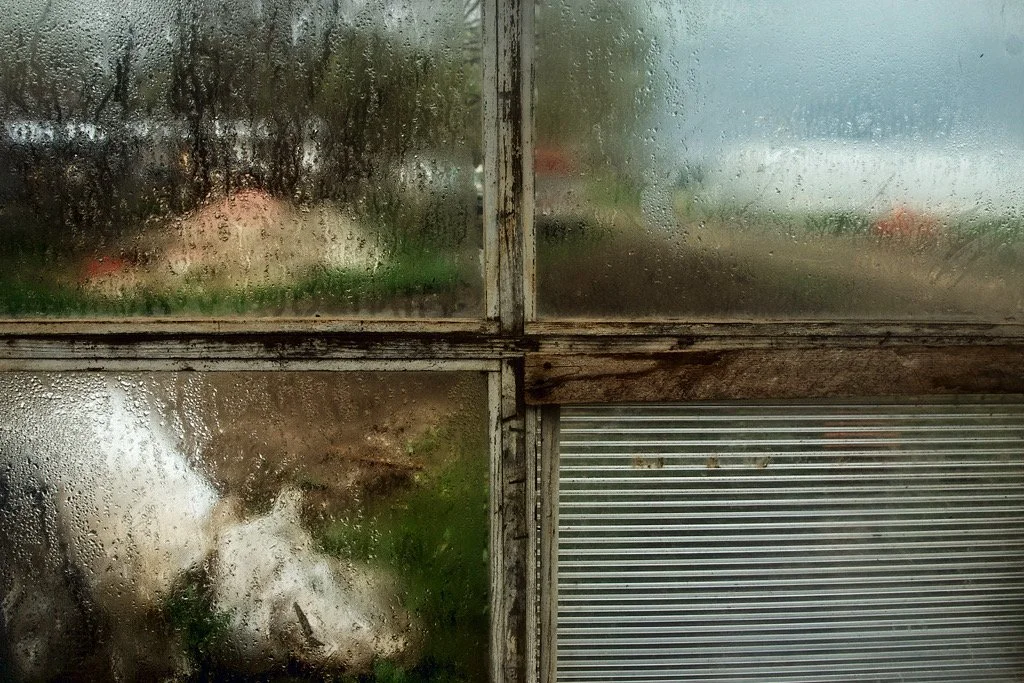  in the greenhouse, 2022 