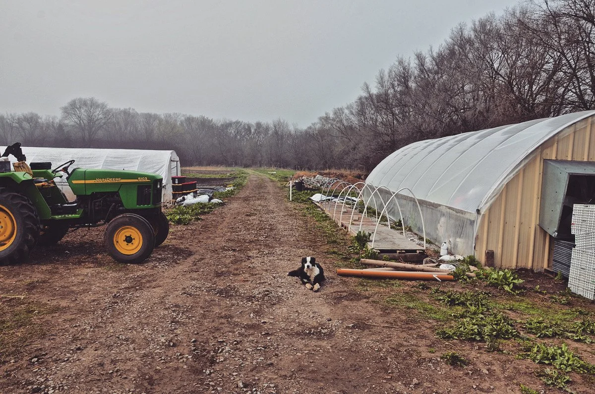  spring in Nebraska, 2022 