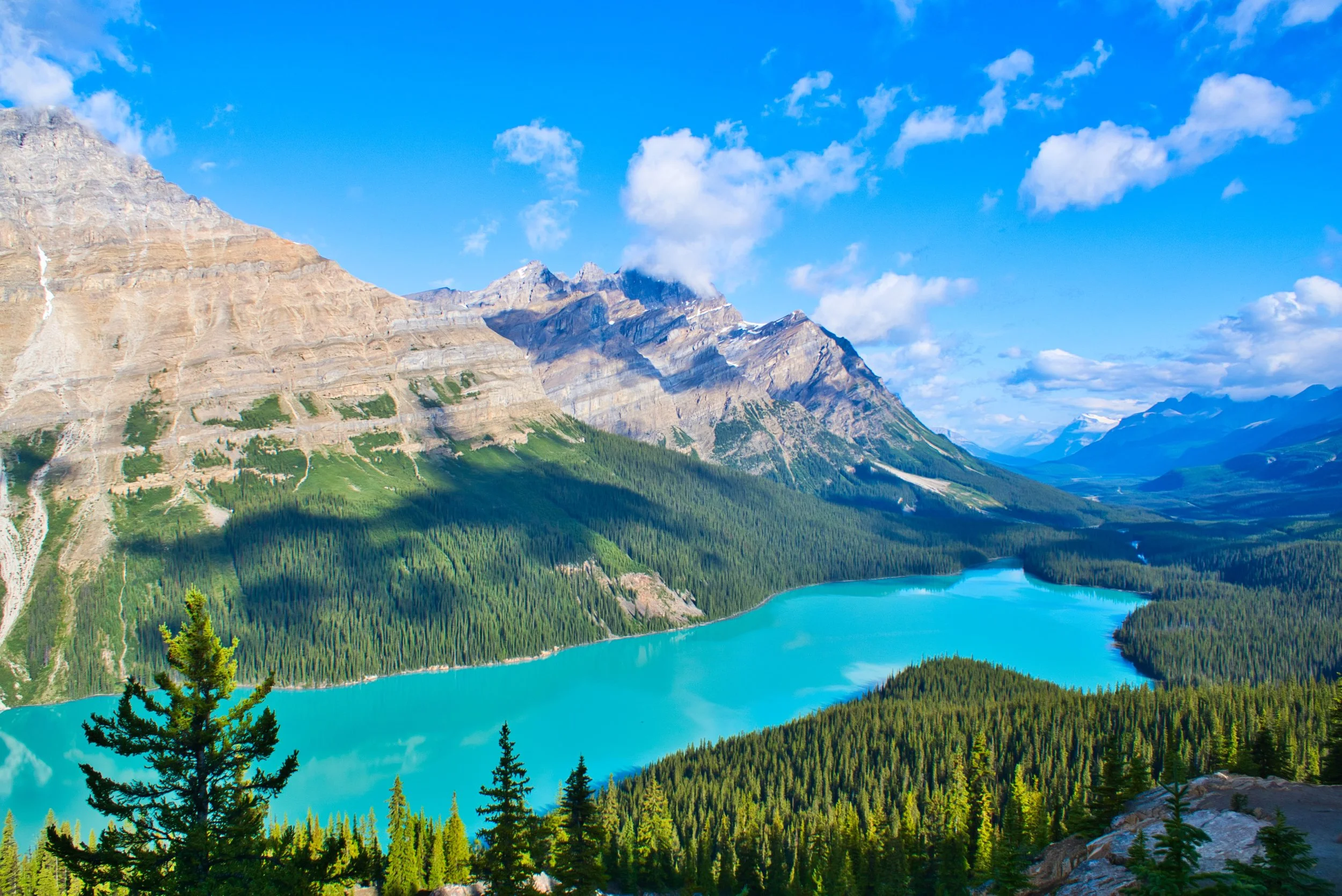 Peyto Lake, Banff NP
