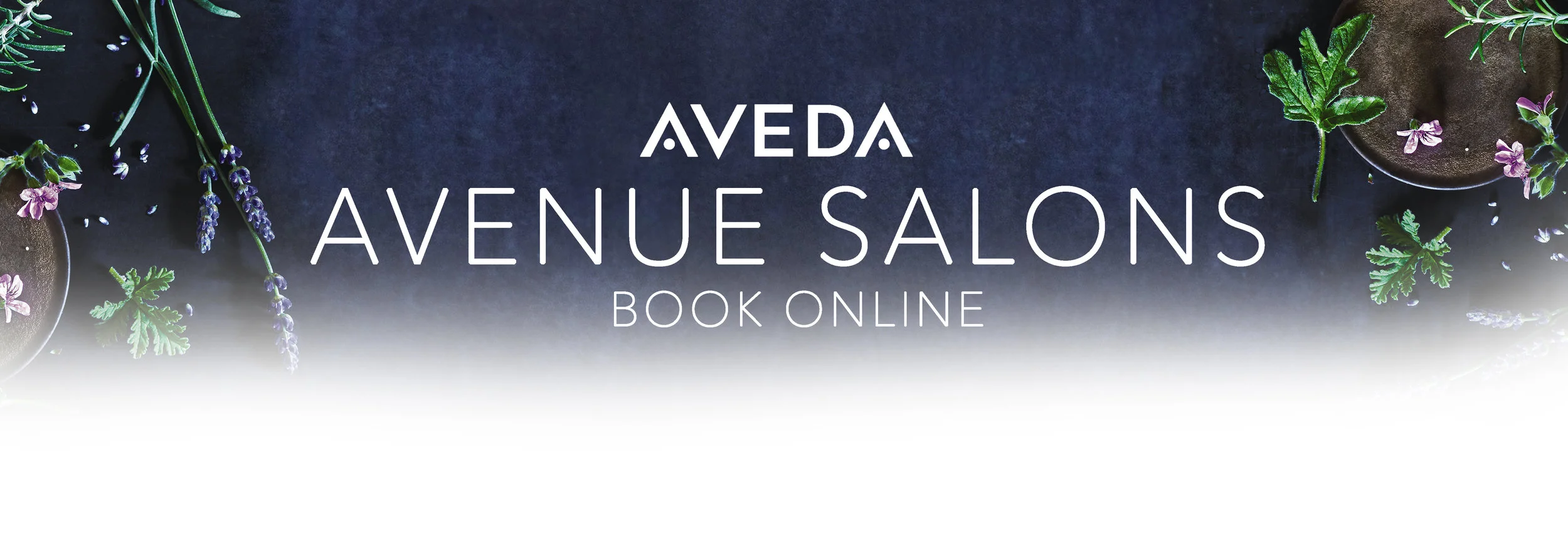 book online.jpg