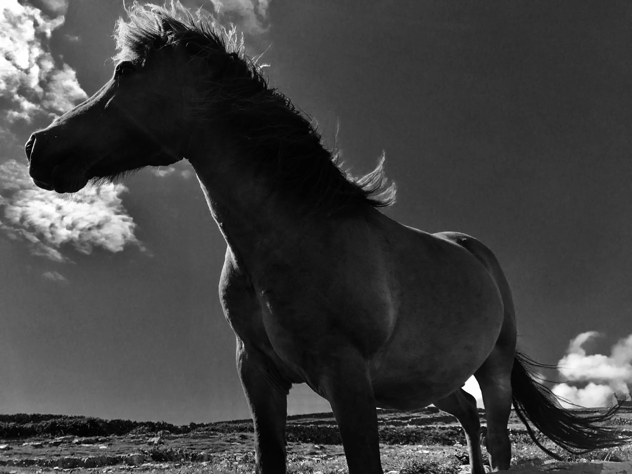 “...the fact remains that … the average person you’re writing for is an acute, sensitive, attentive, sophisticated reader who will appreciate adroitness, precision, economy, and clarity. Not always, but I think the vast majority of the time.” David Foster Wallace, American author Photo by John Flood, Aran Islands, Ireland