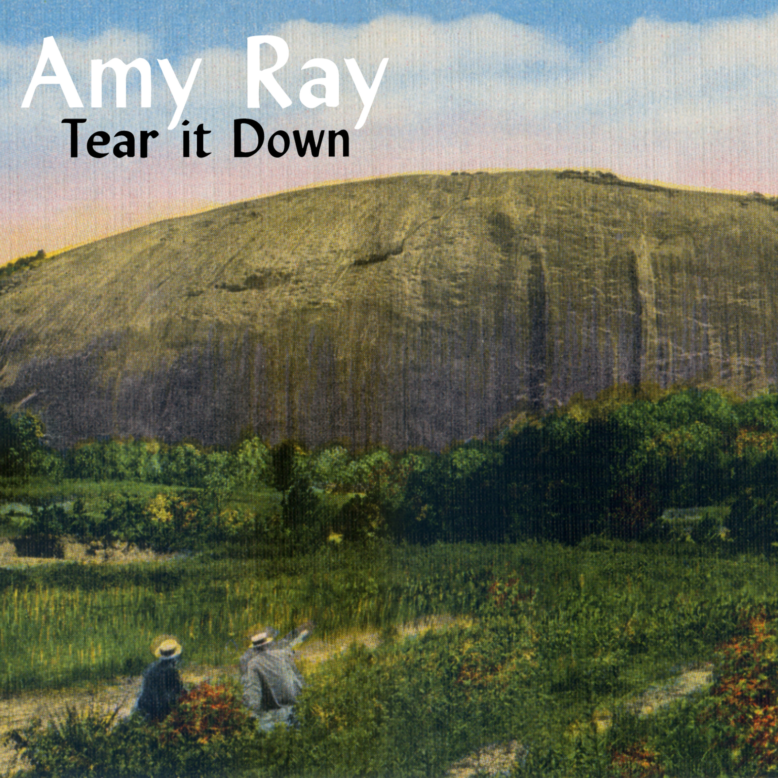 Tear It Down 3000x3000.jpg