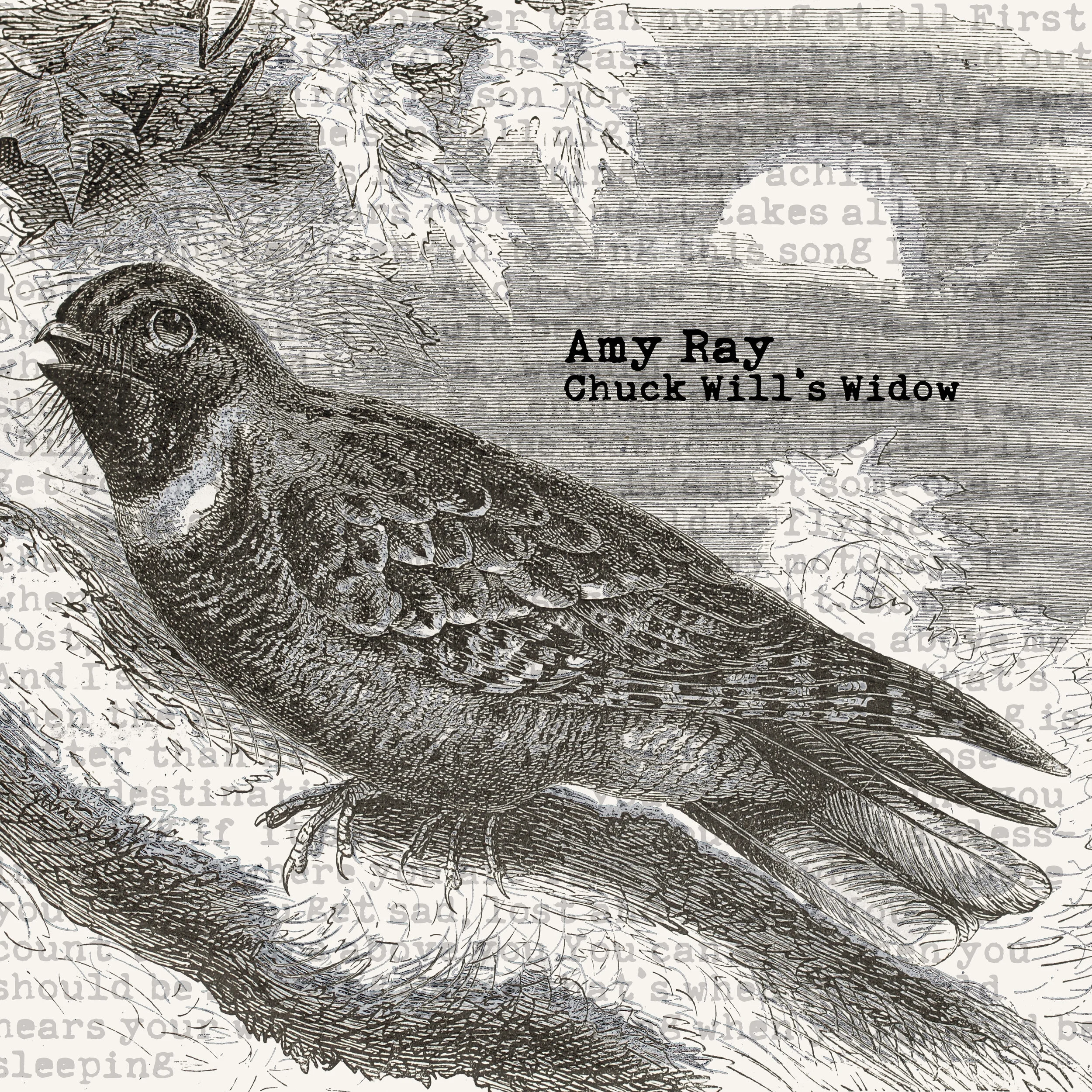 AmyRay_ChuckWillsWidow.jpg