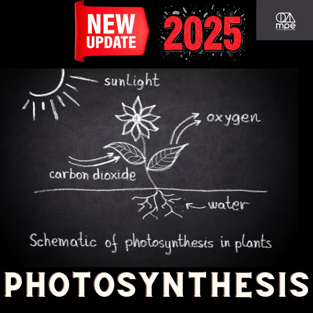 Photosynthesisupdate.jpg
