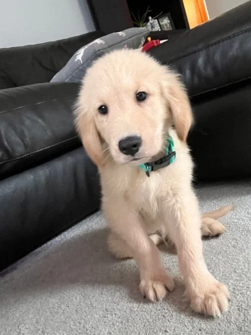 Need Name Suggestions