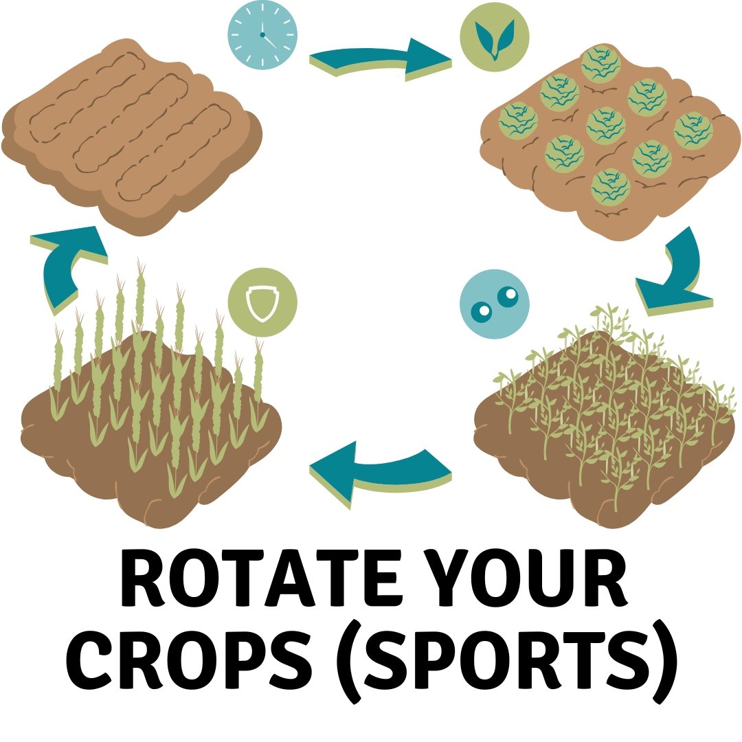 Part 3: The Multi-Sport Dividend (What We Can Learn From Farmers)
