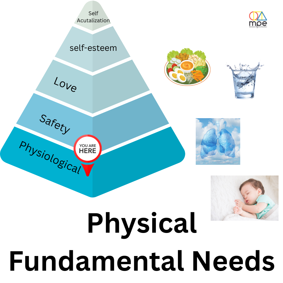 PhysicalFundamentalNeeds.png