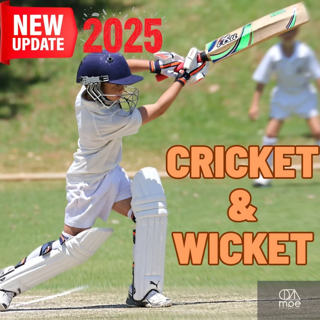 CricketWicket2025Update.jpg