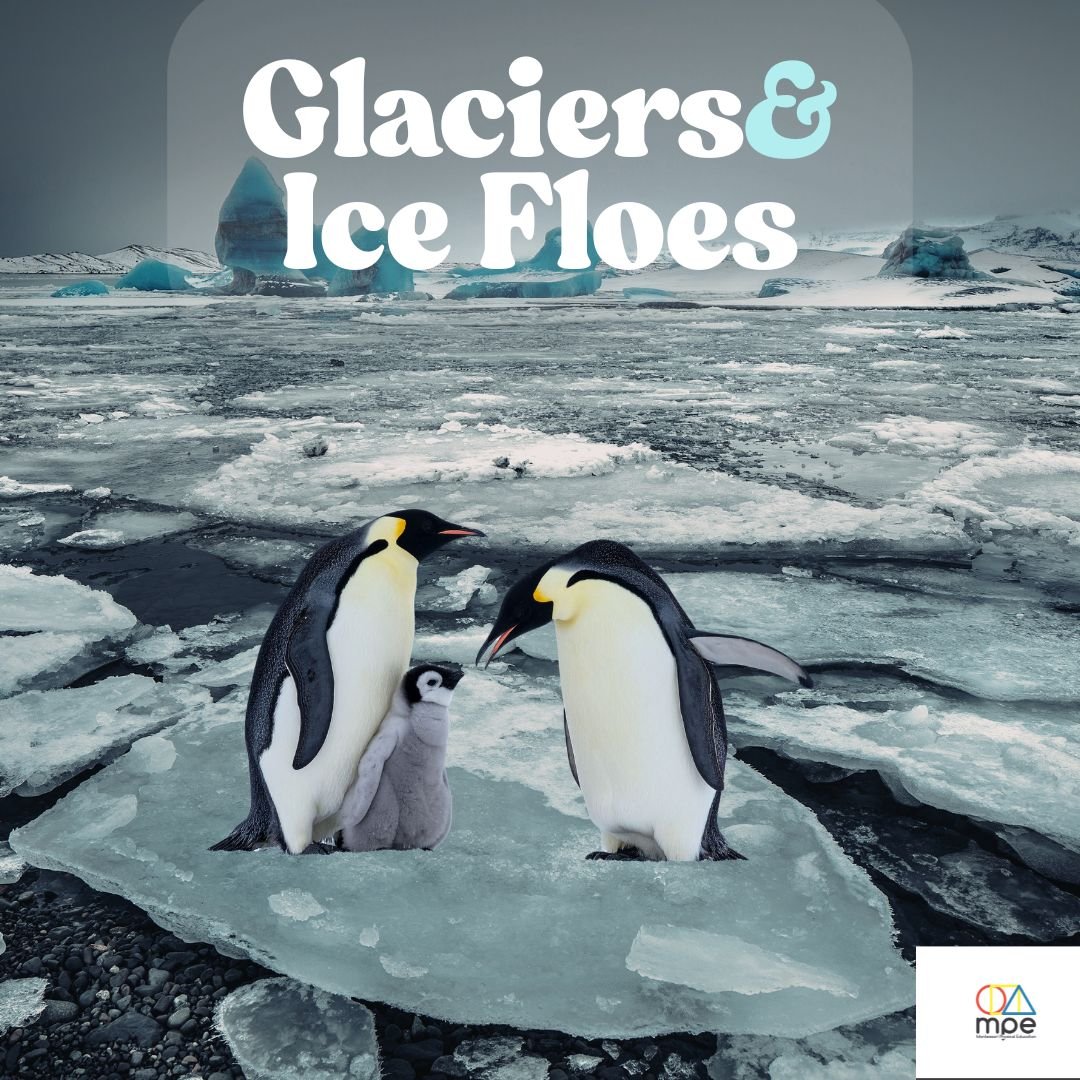 GlaciersandIceFloes.jpg