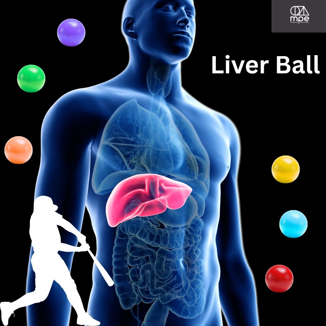 LiverBall.jpg
