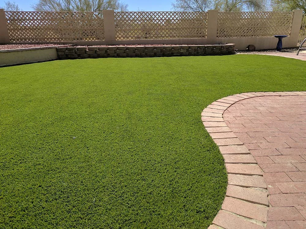 LawnMaintenence.jpg